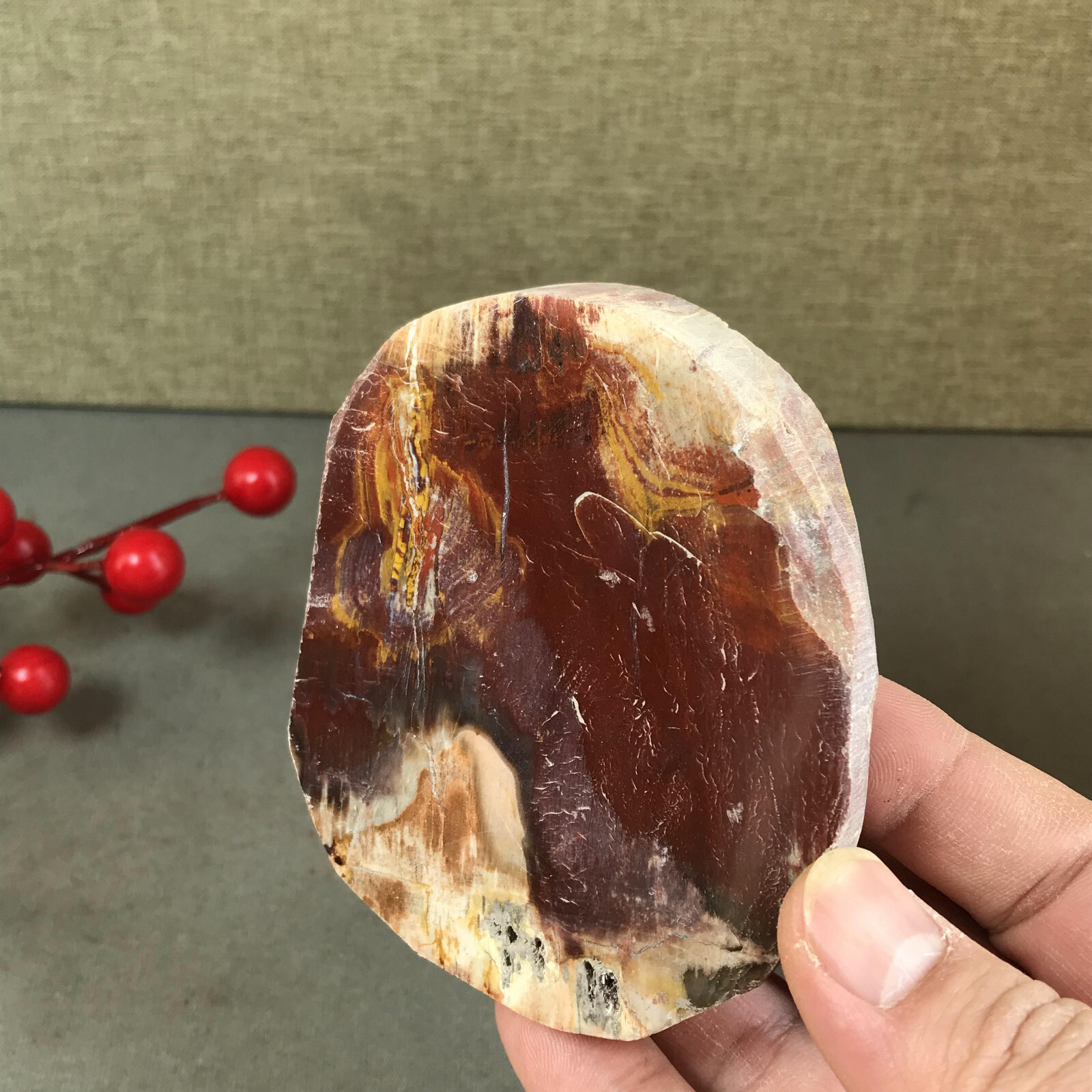 92mm natural Beautiful Petrified Wood Crystal Slice mineral specimen 266g A5424