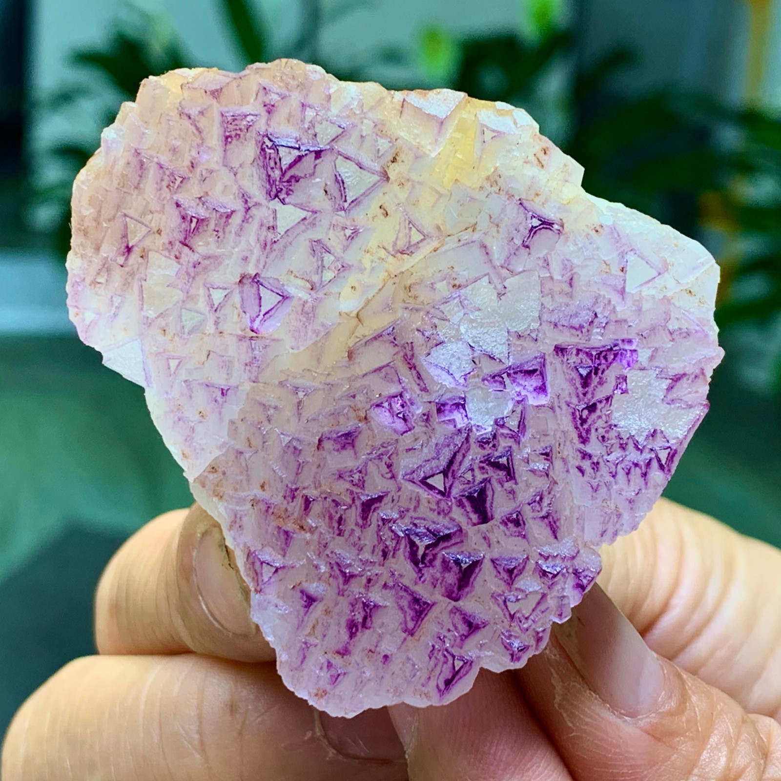 100G Natural fluorite purple edged cubic crystal mineral sample