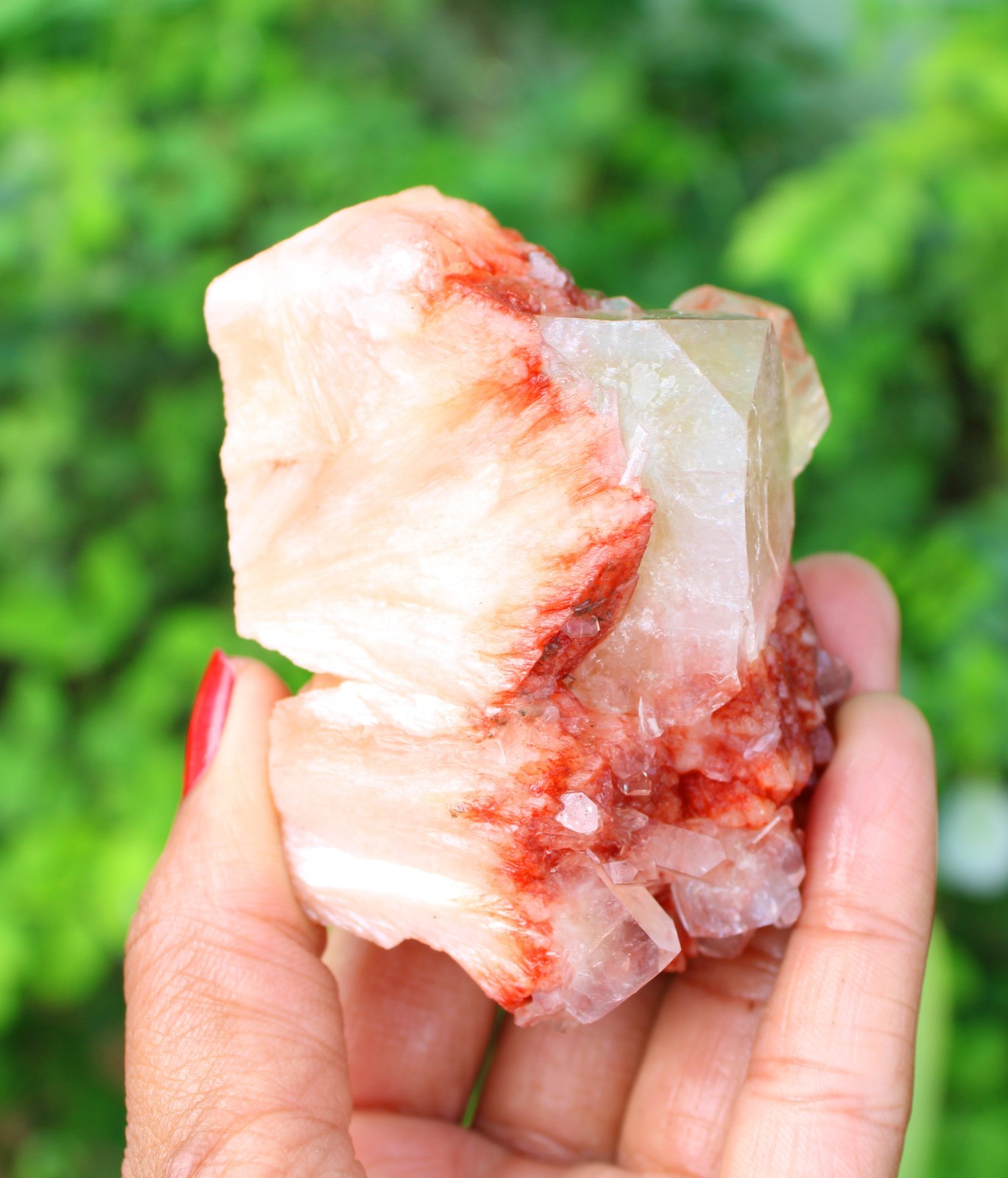 APOPHYLLITE CRYSTALS ON RED STILBITE MINERAL SPECIMEN