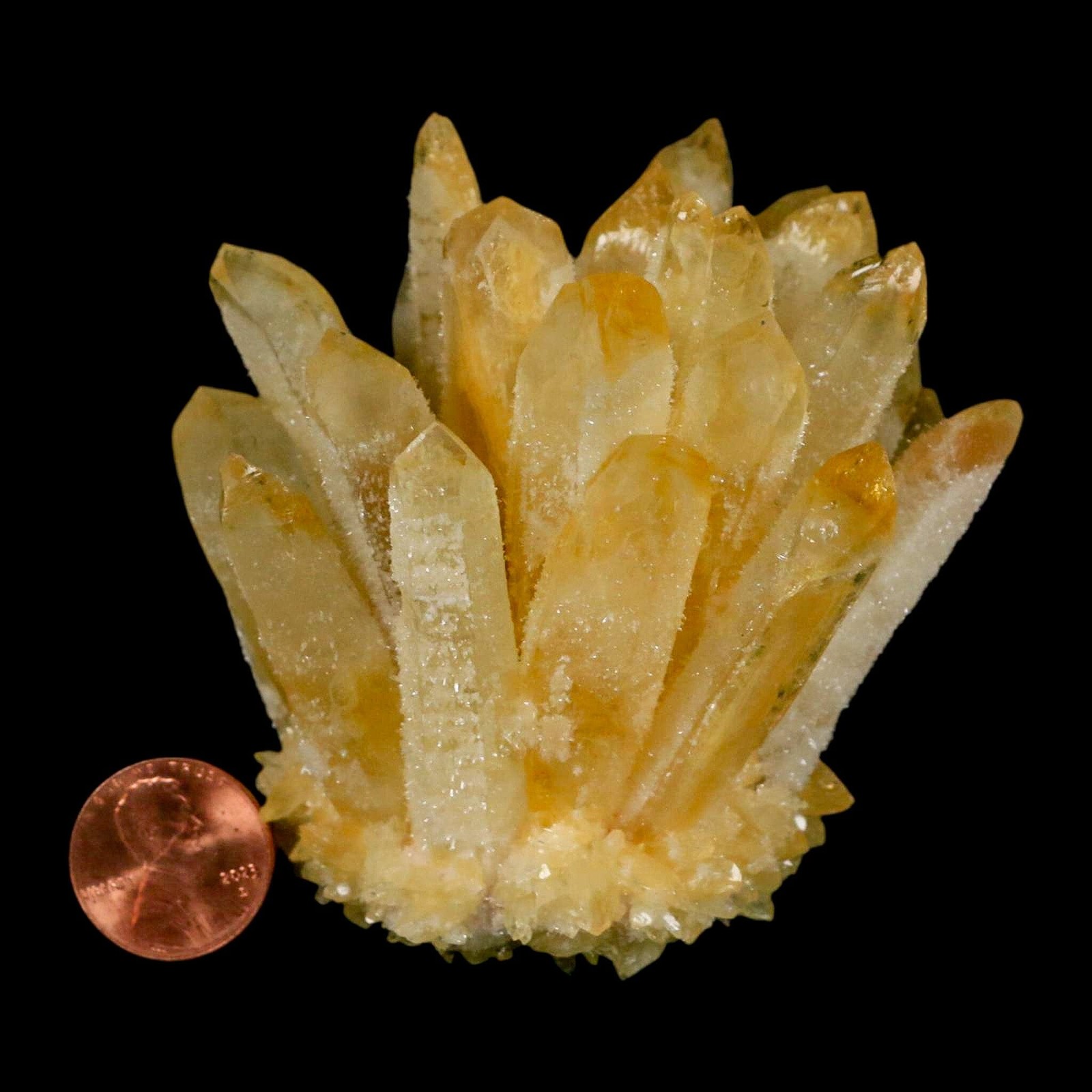 3.1″ Yellow Phantom Ghost Quartz Crystal, Chlorite Cluster Mineral Specimen