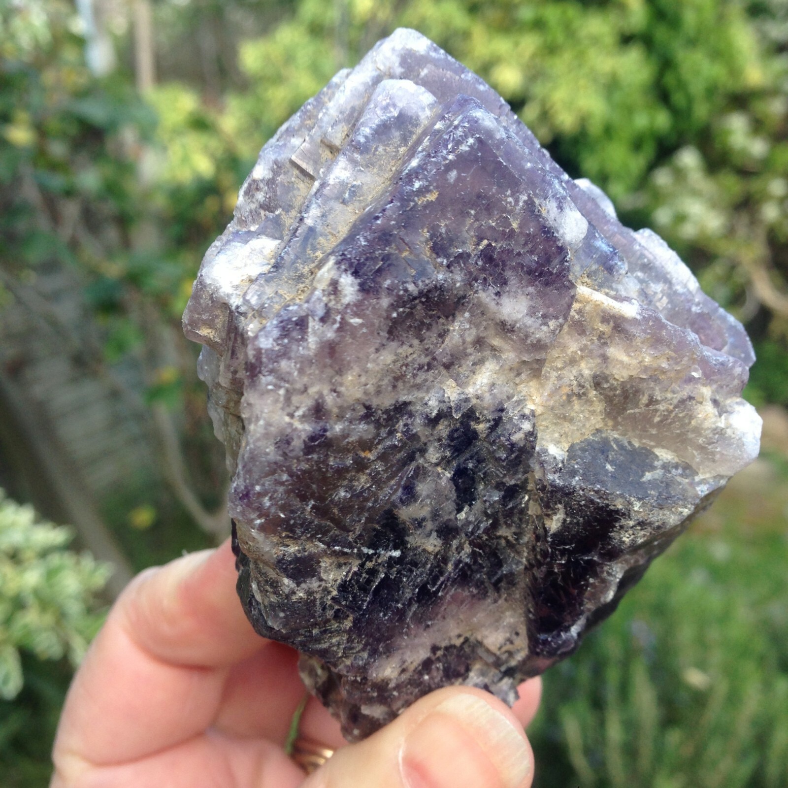 Fluorite Crystal Rough Specimen Purple Yellow North UK ex J Shaw 356g 9x7x6cm
