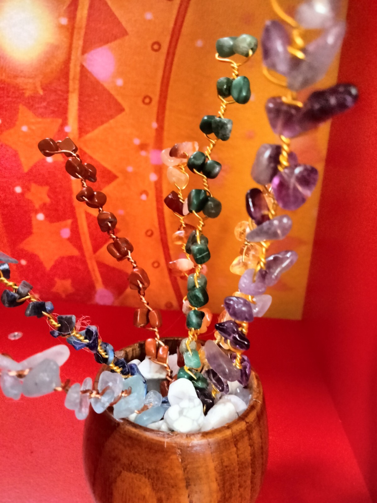 Chakra Healing & Protection plant
