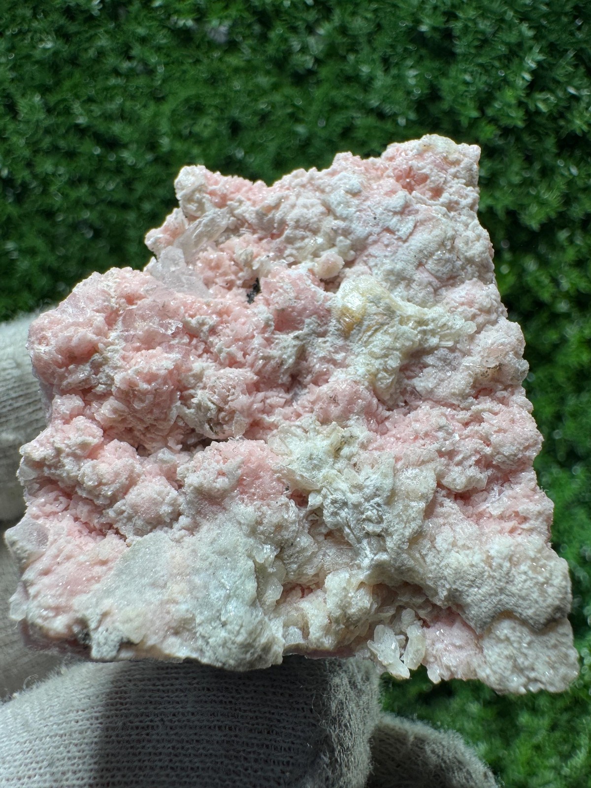Solid! LOVELY PINK Rhodochrosite from DEPLETED mine / N498