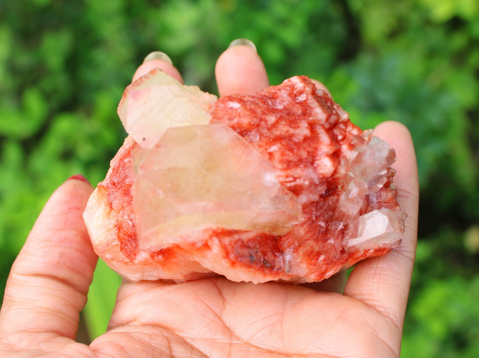 APOPHYLLITE CRYSTALS ON RED STILBITE MINERAL SPECIMEN