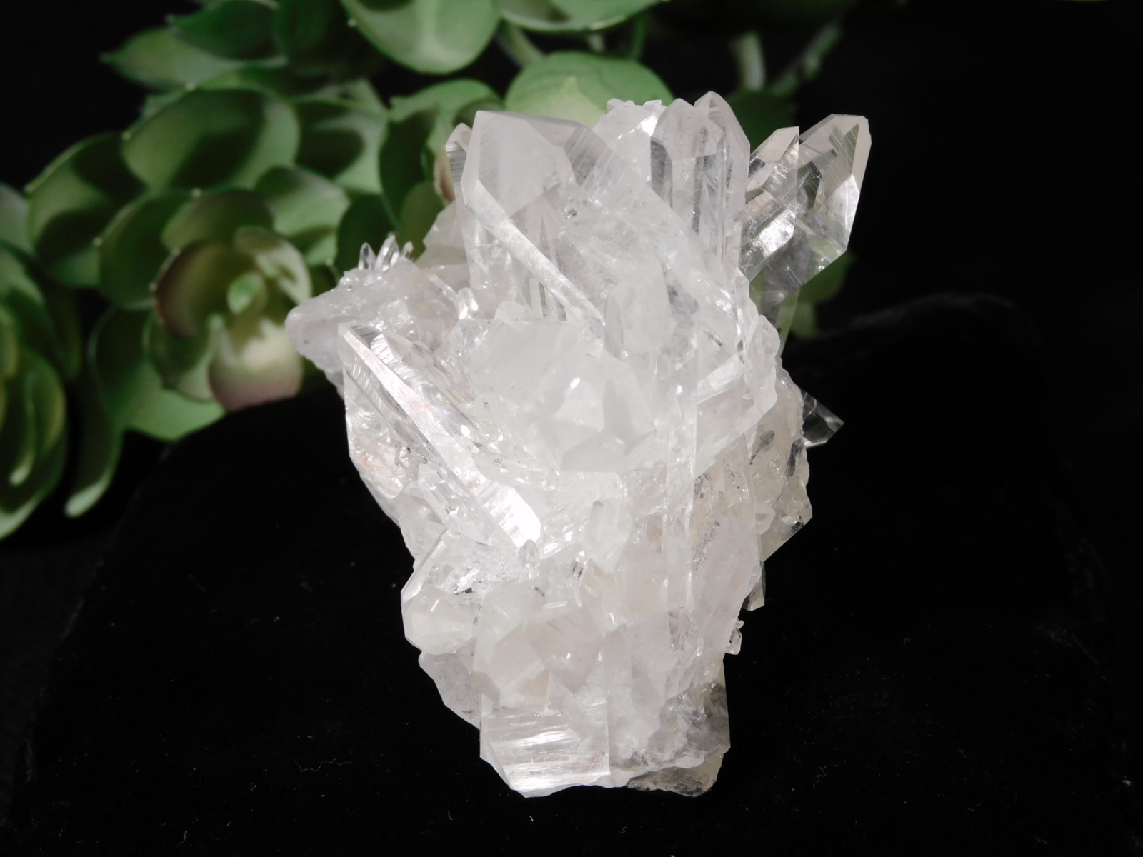 VERY TRANSLUCENT Quartz Crystal Cluster Collier Creek ARKANSAS 135gr