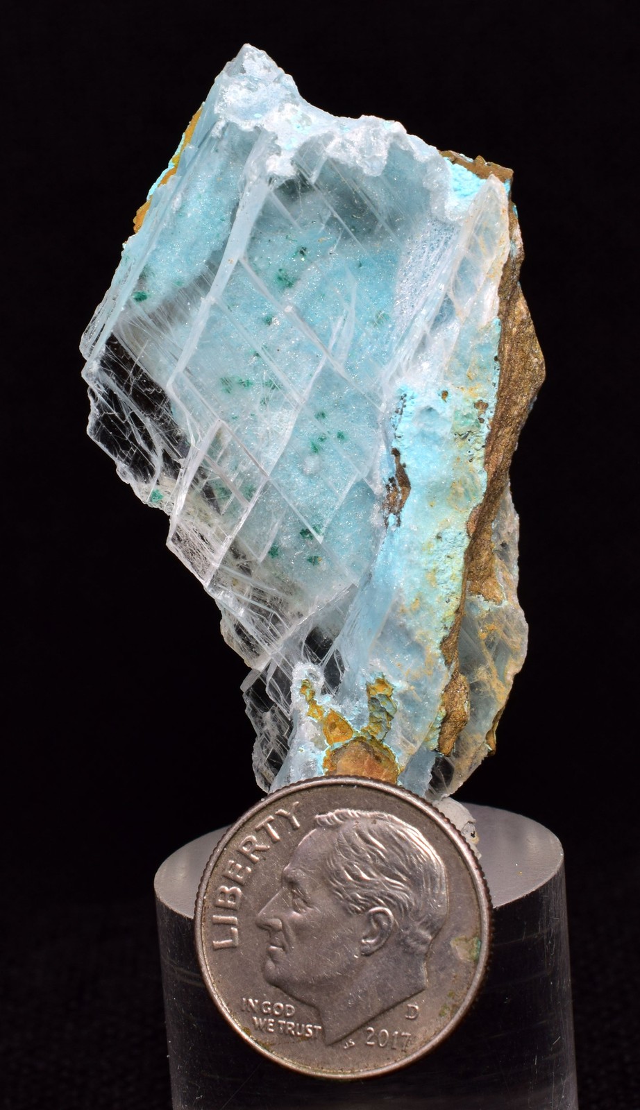 7.5cms GEM ATACAMITE INSIDE SELENITE CRYSTAL CHRYSOCOLLA LILY MINE PERU DB139