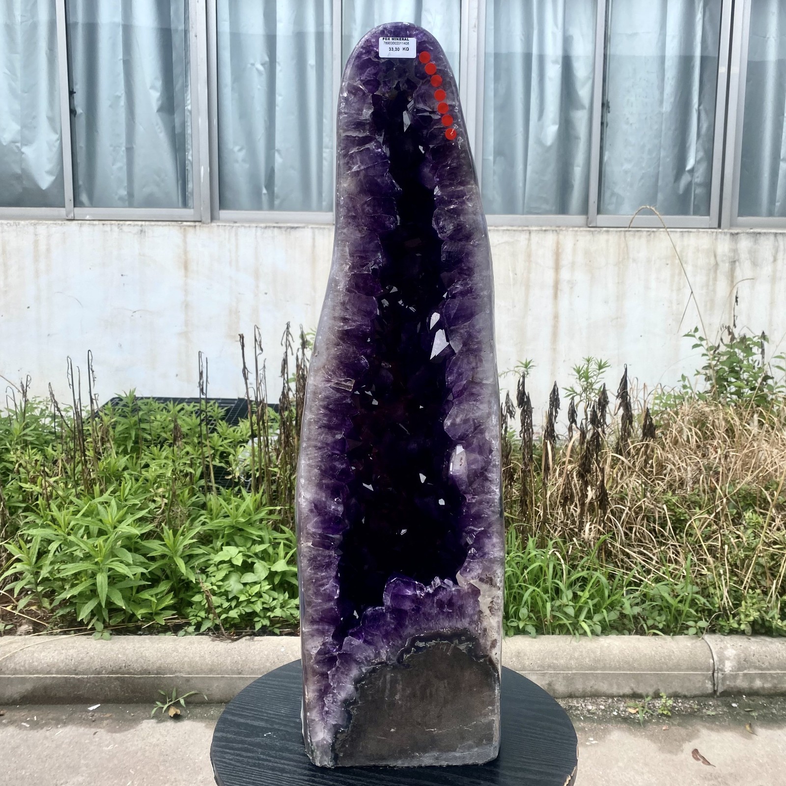72LB Top Natural Amethyst quartz Crystal Church Cathed Crystal Wand Reiki ener