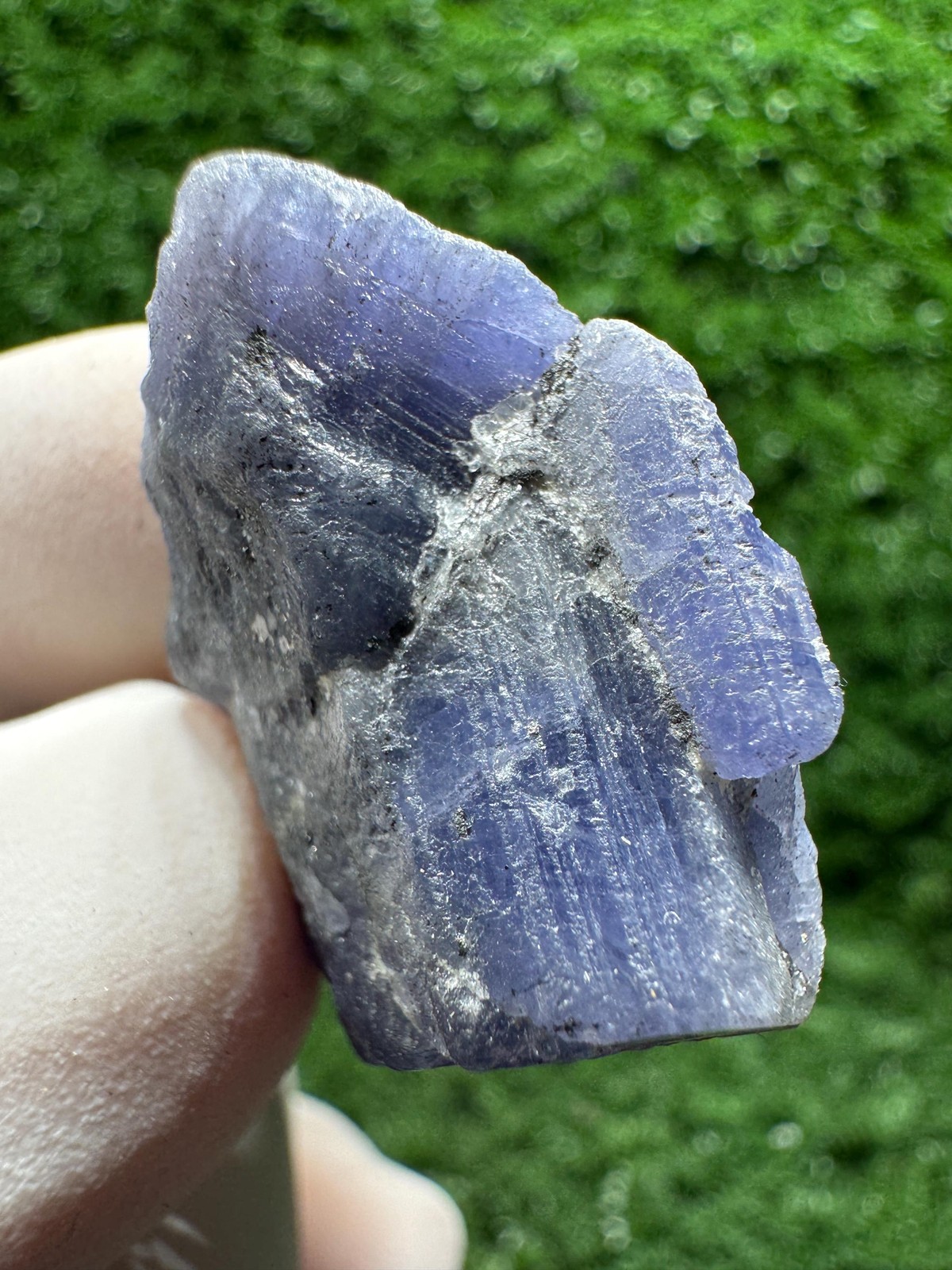 Unique TANZANITE Crystal with COLOR CHANGE under yellow/white light / F532
