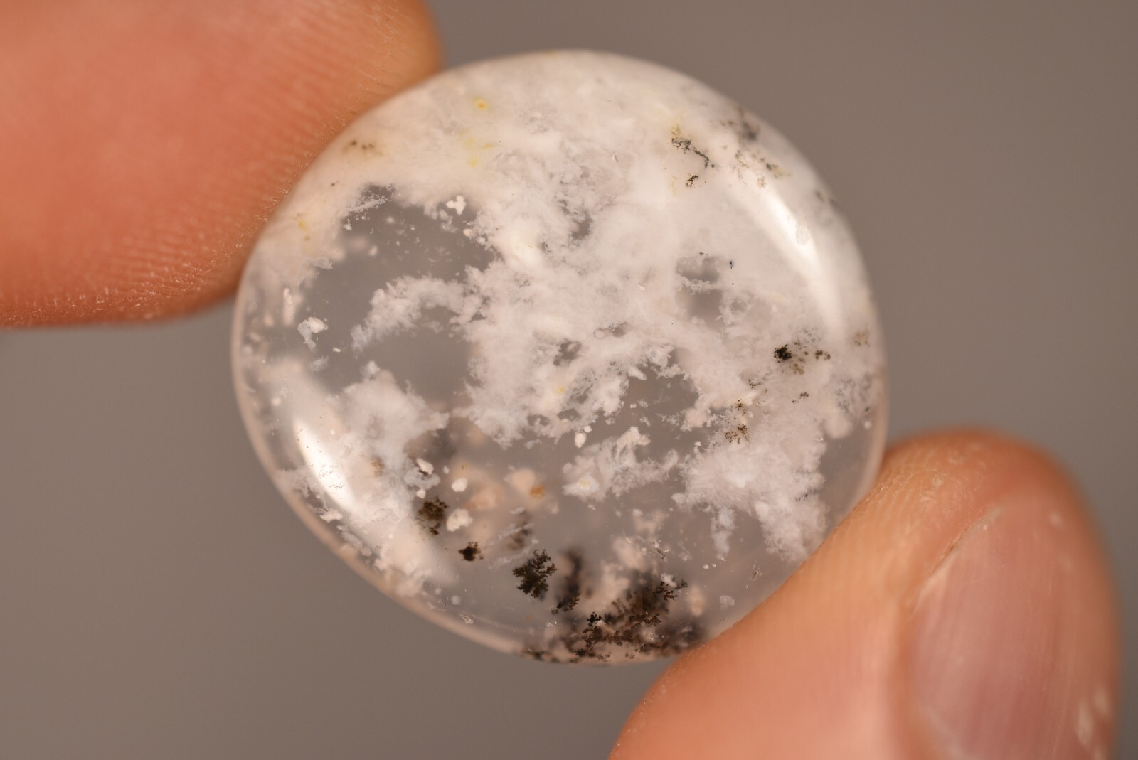 3 *DENDRITIC AGATE* Flat Stones 2-3cm 19.3g MERLINITE Chalcedony Palm Natural