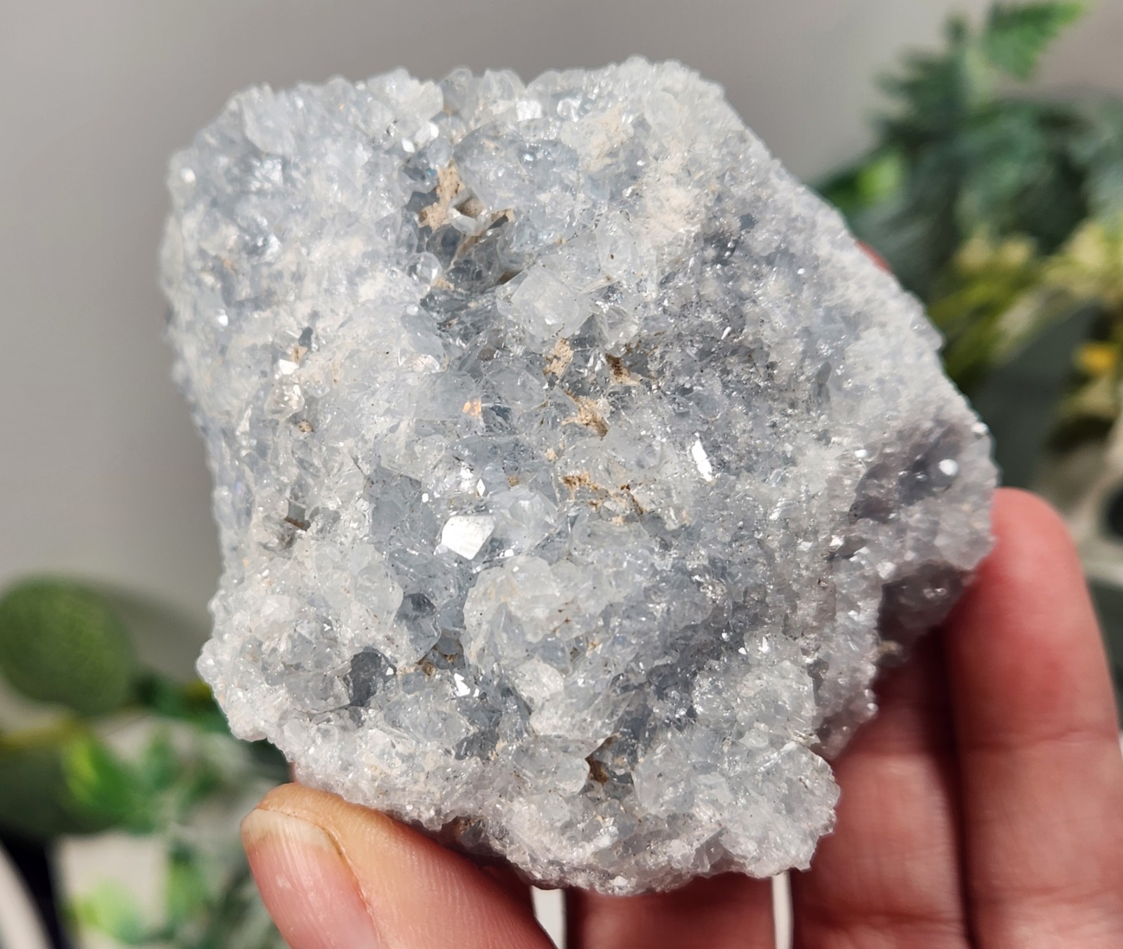 5pc Celestite 2 Ib Lot Crystal Clusters From Madagascar. Exact Specimens Cellot2