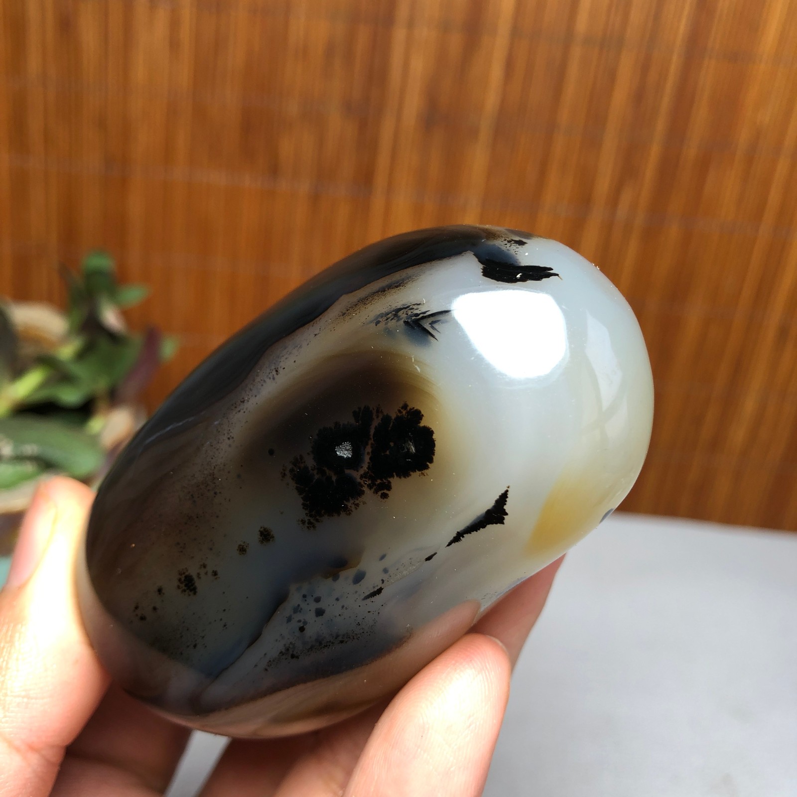 72mm Natural aquatic plants agate pretty Crystal specimens 167g A9995