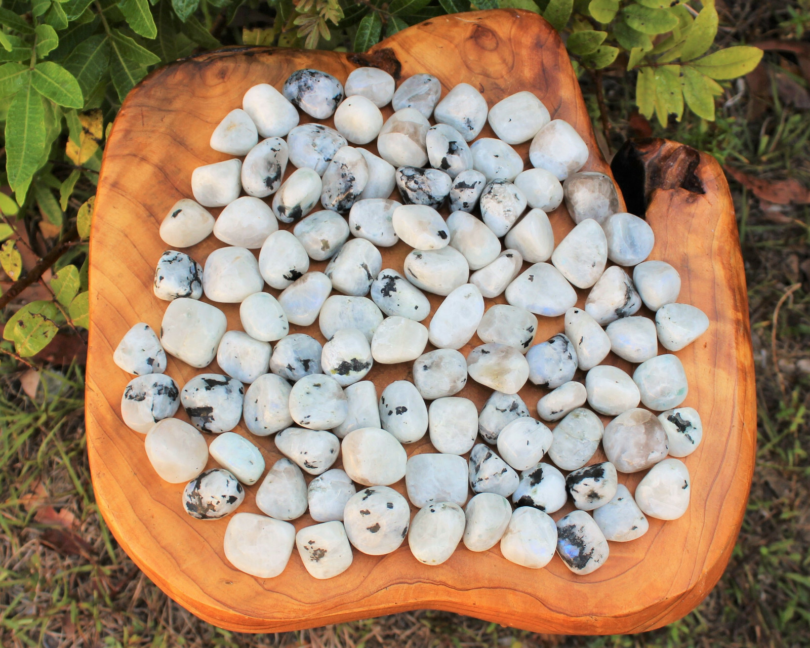 Rainbow Moonstone 1 MEDIUM/LARGE Tumbled Stone Crystal Healing (0.75″ – 1″)