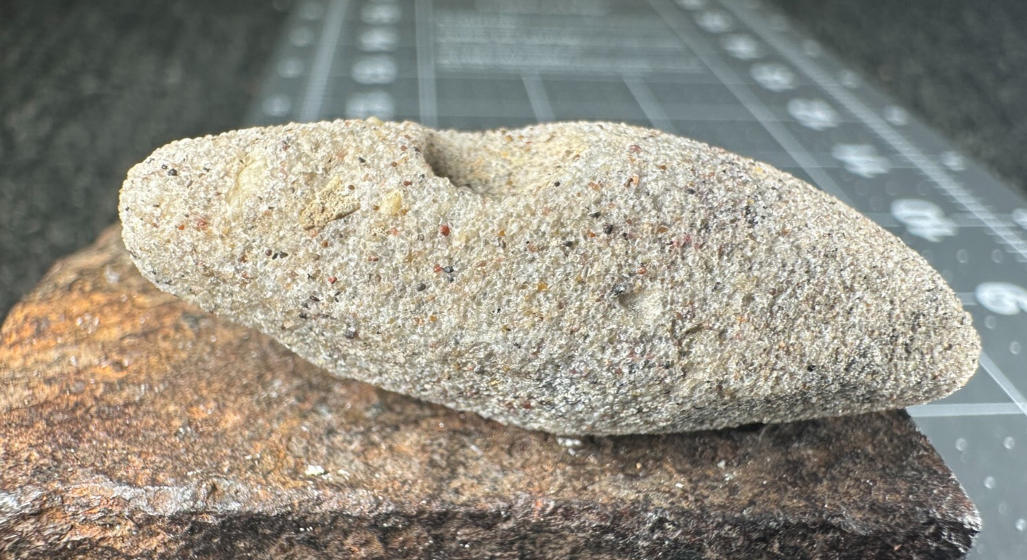 ➤ 1-3/4 Inch SAND CALCITE CRYSTAL – Rattlesnake Butte South Dakota VIDEO➤1041