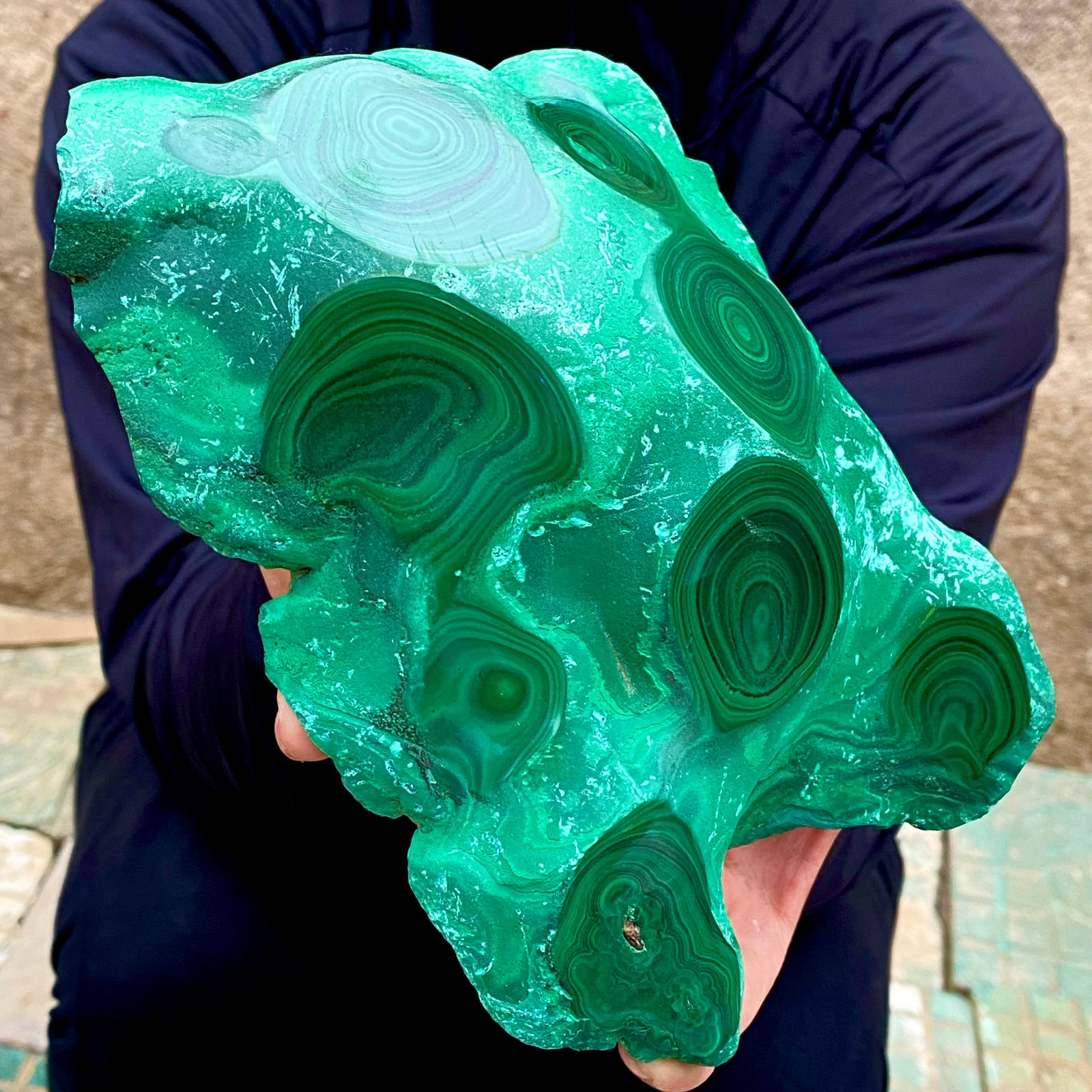 3.2LB Natural tortoise Malachite transparent cluster coarse mineral sample