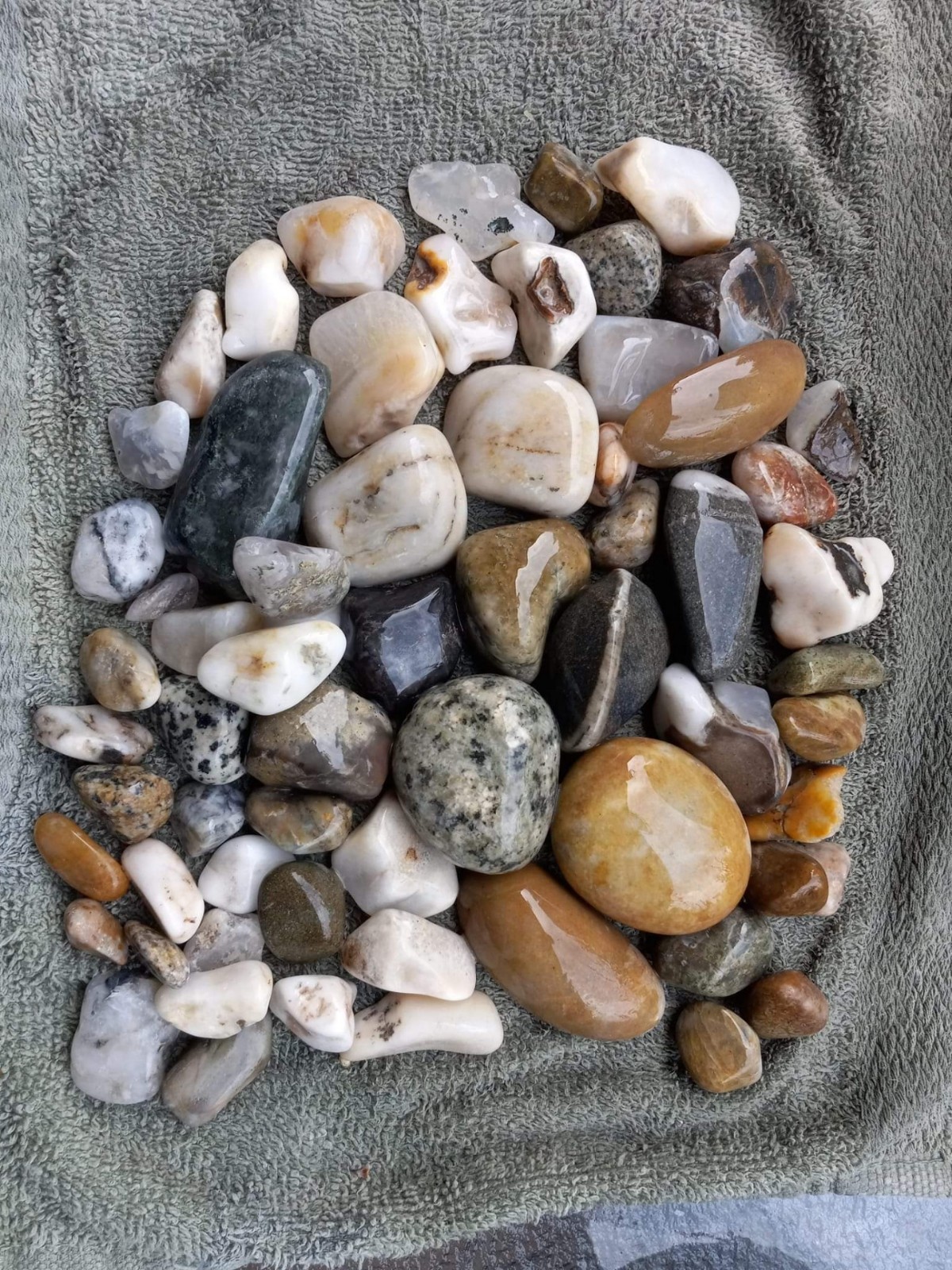 RAW CLEANED TUMBLING/JEWELRY MAKING ROCKS FROM OREGON COAST