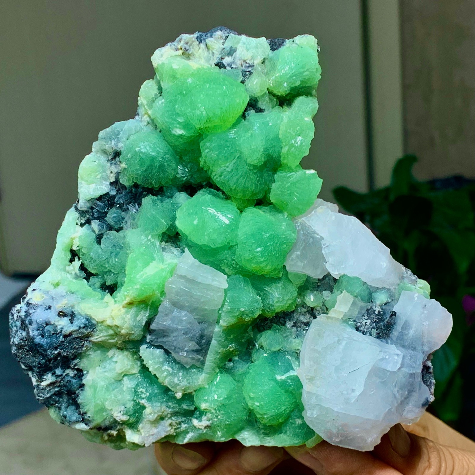 462G Natural beautiful spherical prehnite with calcite quartz crystal mineral