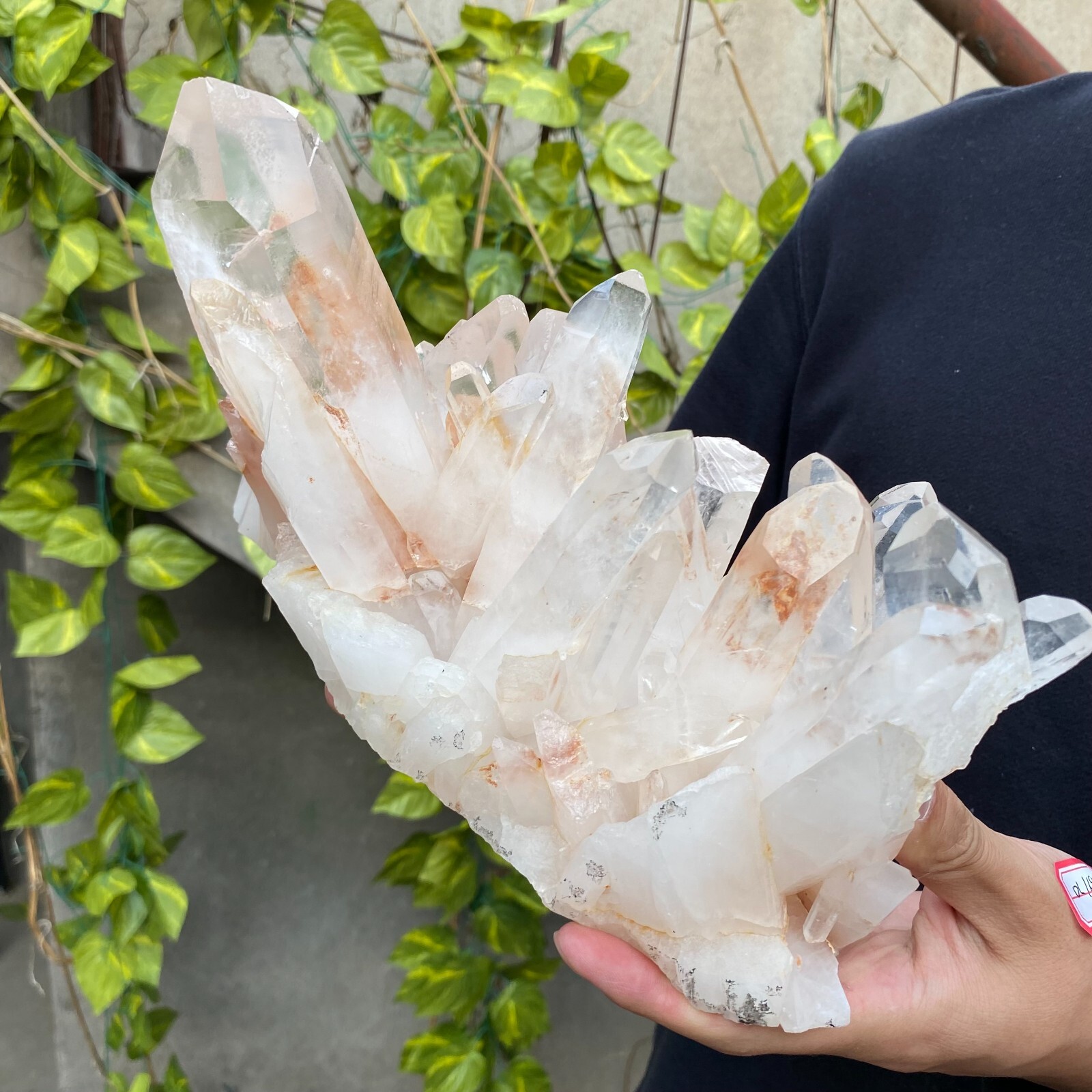 7.2lb Natural Clear White quart Crystal Cluster Raw Healing Specimen