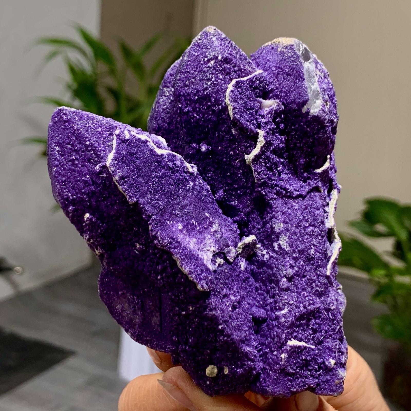 449G Natural purple fluorite wrapped candle crystal cluster mineral crystals