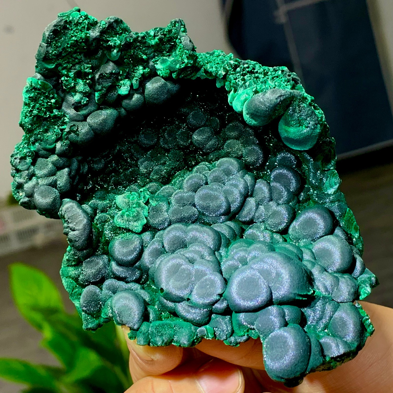 205g Natural glossy malachite cat eye transparent cluster rough mineral Sample