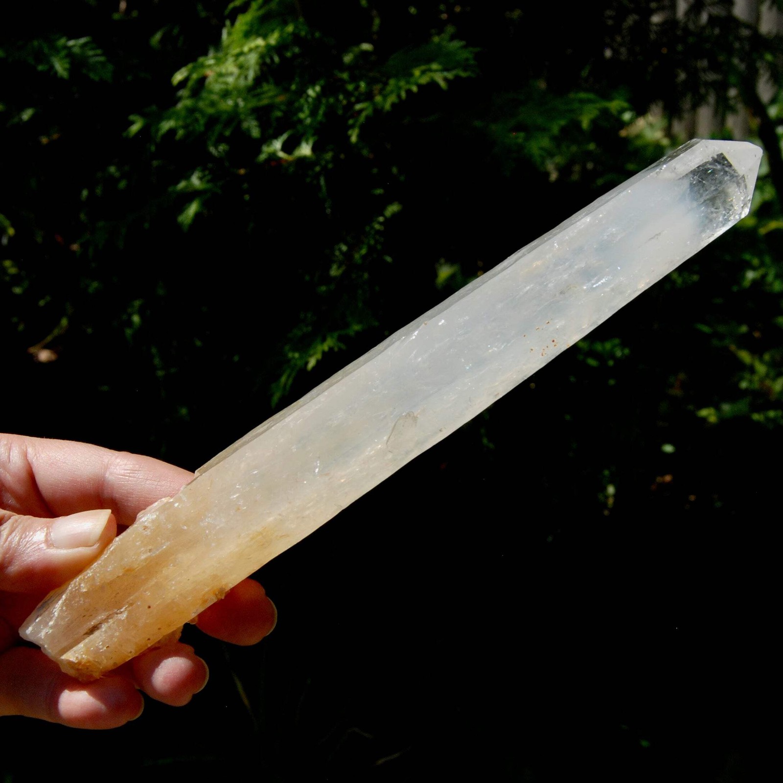 XL AAA Colombian Blue Smoke Lemurian Quartz Crystal Starbary, 8.5″ 244g Record K