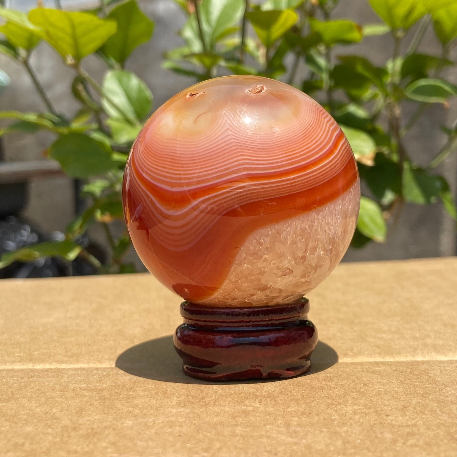 228G Red Orange CARNELIAN AGATE Polished Ball Palm Stone