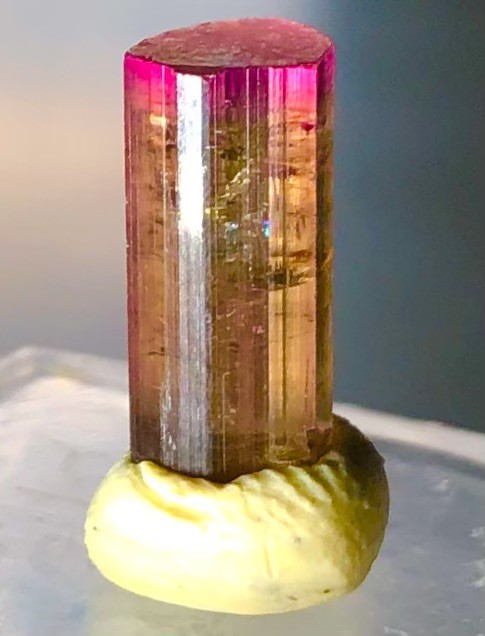 Rarest Translucent Untreated Purple Gold Tourmaline Crystal Raw Natural Specimen