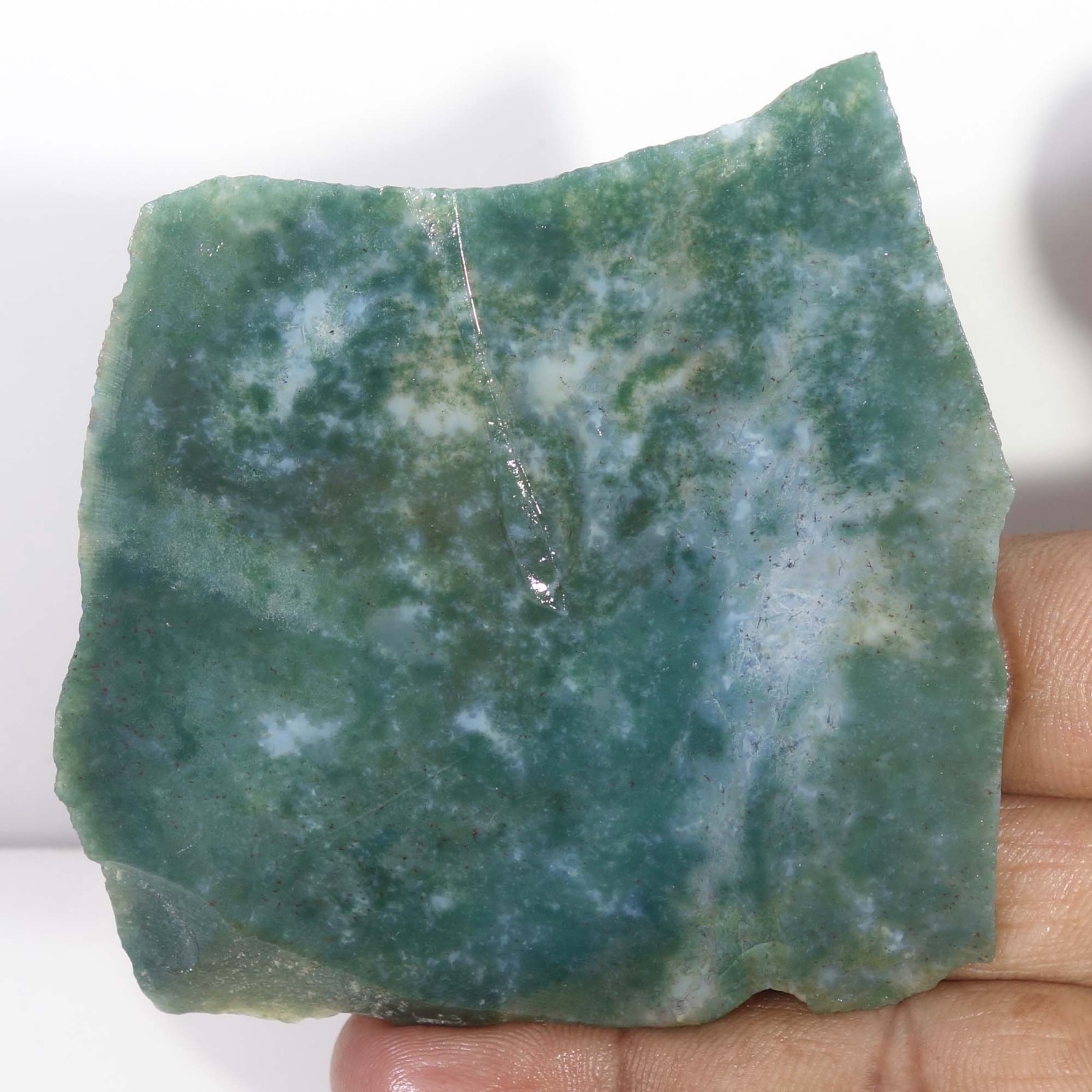 Seaweed Green Moss Agate Slice Slab Rough Natural Gemstone Loose 280.80 Cts