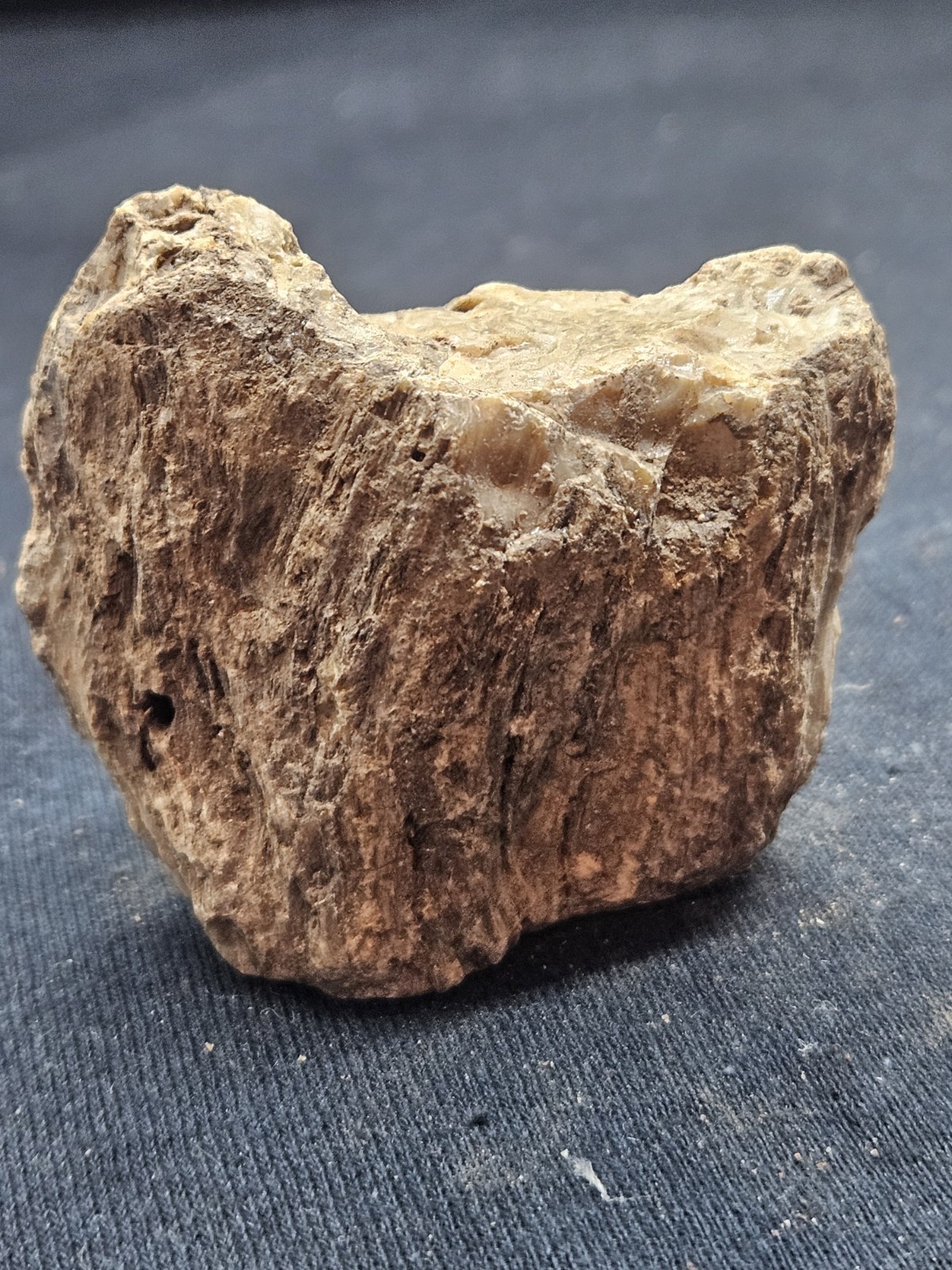 Natural Raw Amber Specimen Rough Unpolished Fossilized Resin Stone Rock