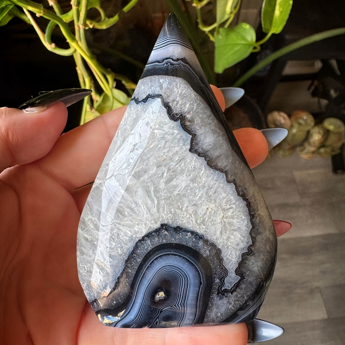 Natural Black Lace Agate Teardrop Carved Ornament Mineral Healing Decor Gift