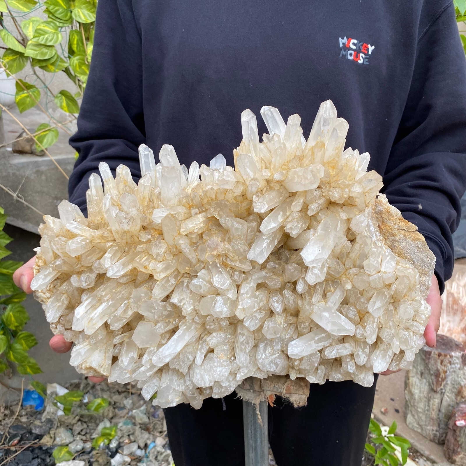 43.9lb Natural Clear White quart Crystal Cluster Raw Healing Specimen