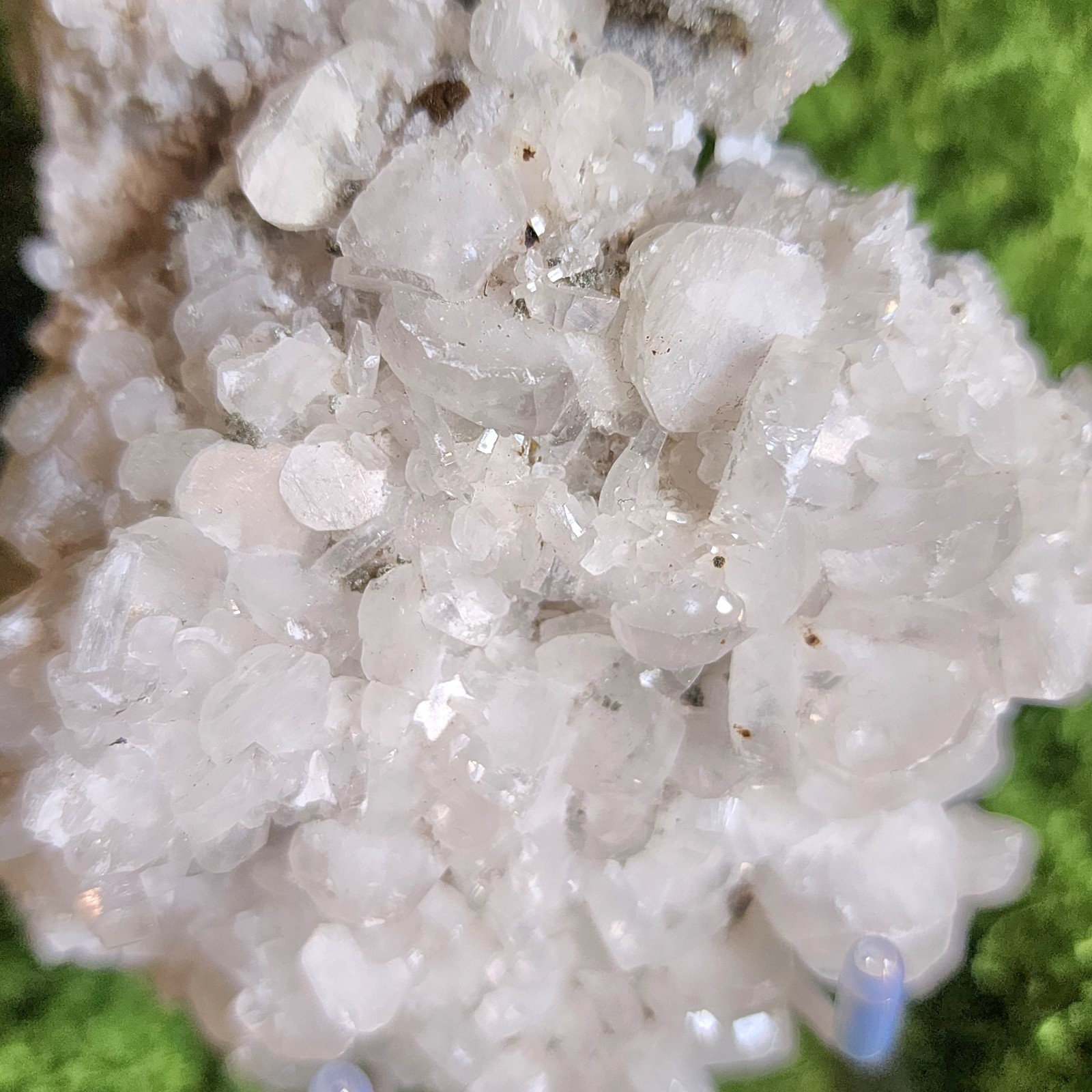 Coin Calcite Specimen-Mild UV-reaction