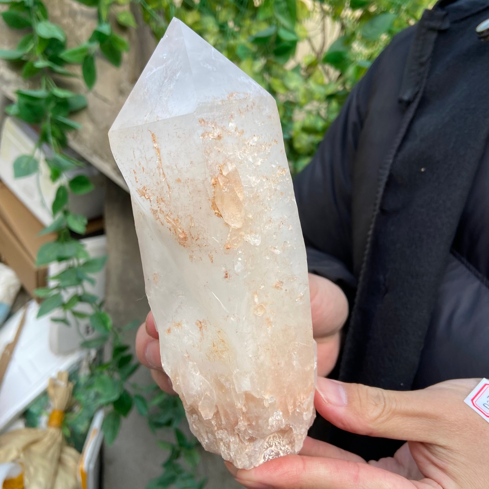 2.9lb Natural clear white crystal quartz point rough mineral specimen