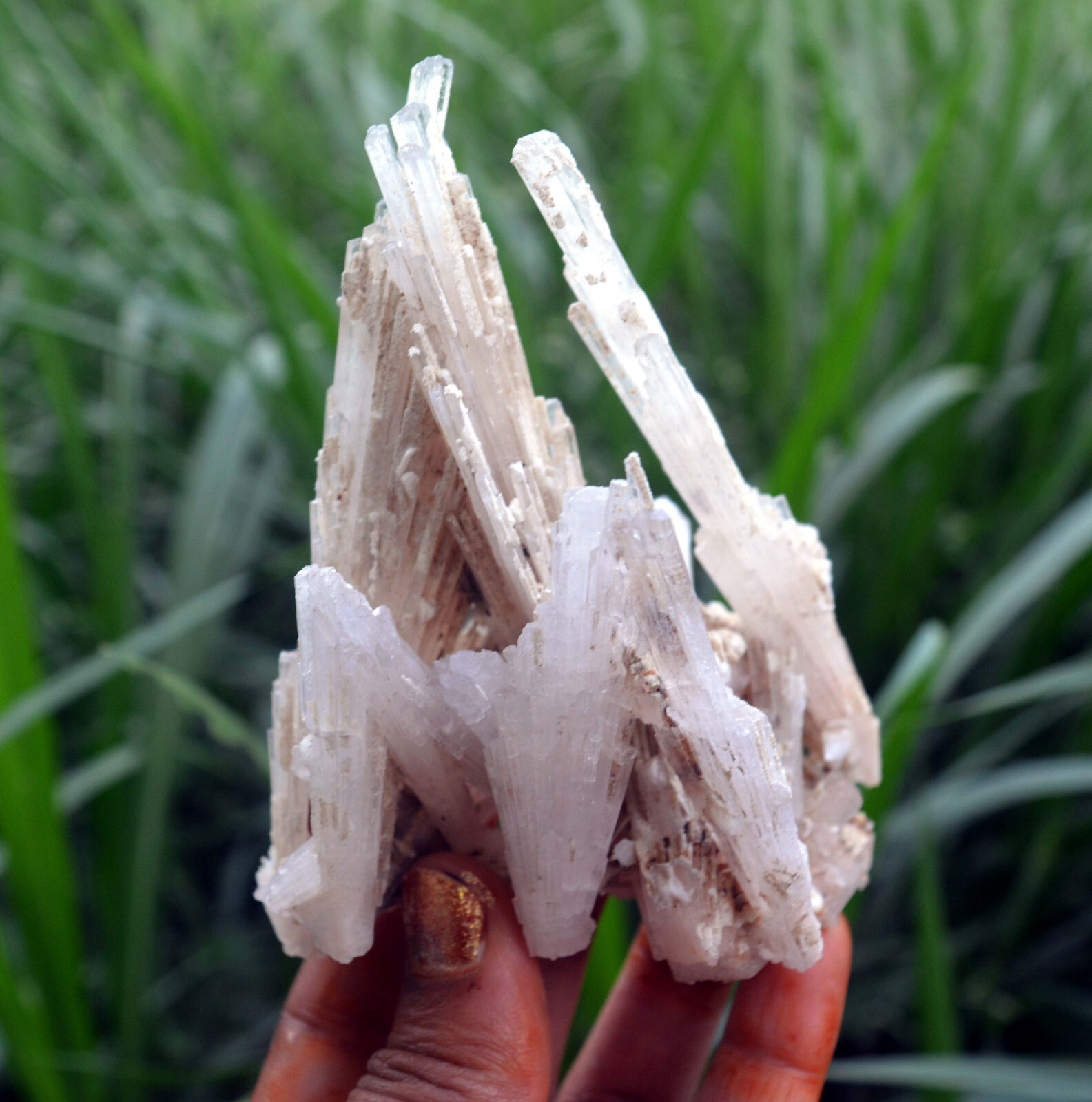 scolecite spray formation minerals specimen j-7