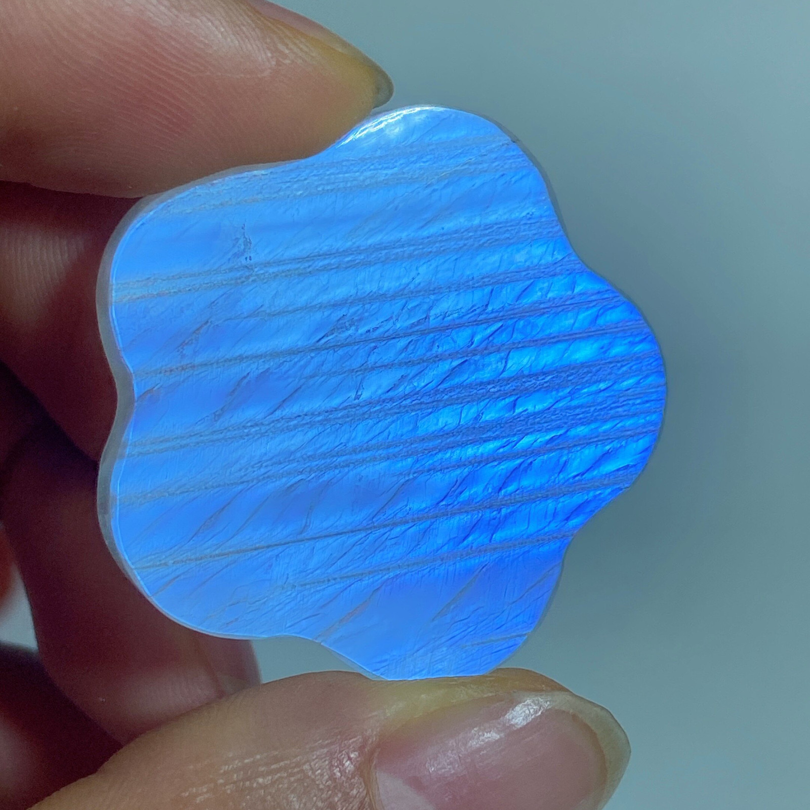 Blue Moonstone Flower Palm Stone, Natural Adularescence Crystal