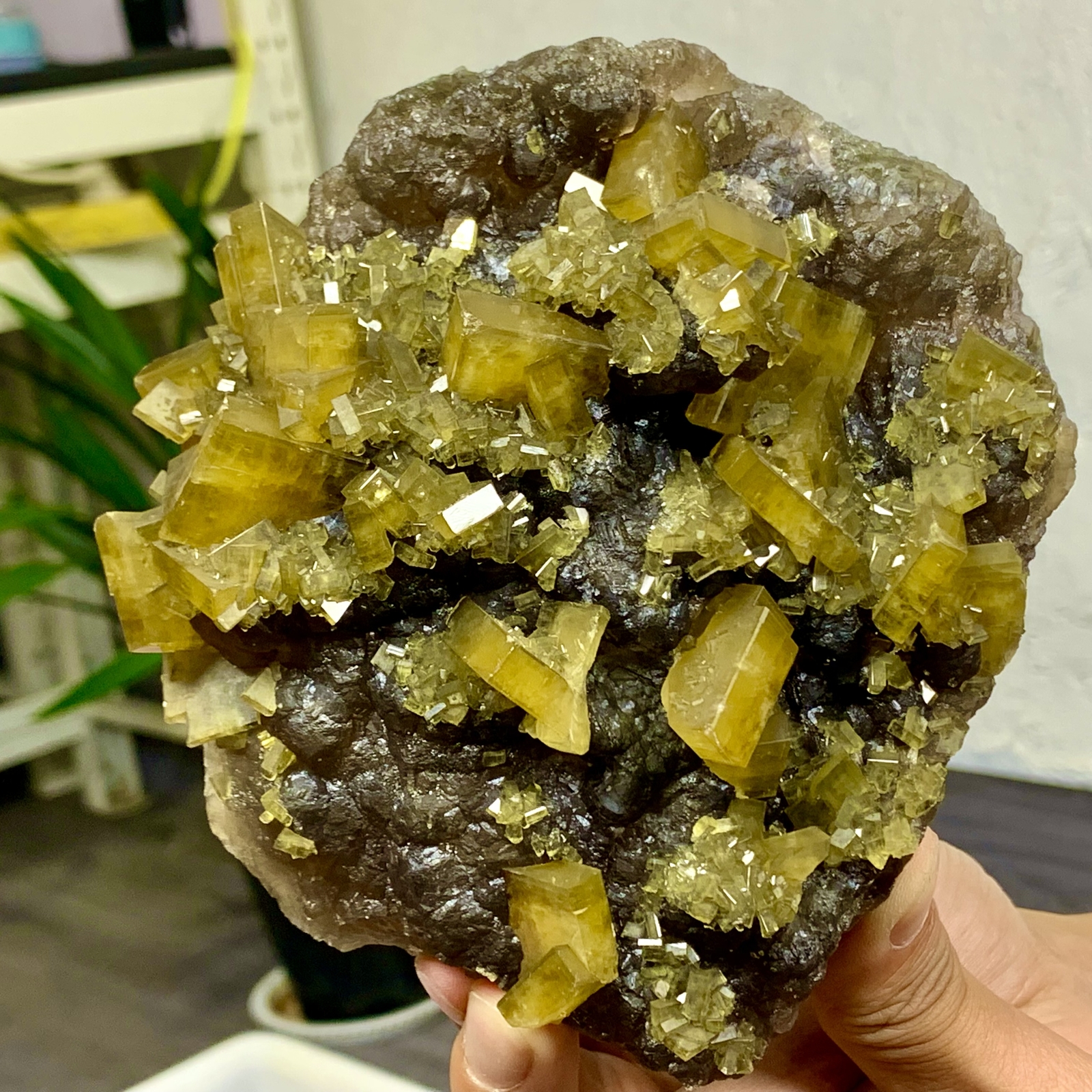 2.76LB Shiny Golden Cuboid Barite Crystal Based on the Purple Spherical Fluorite