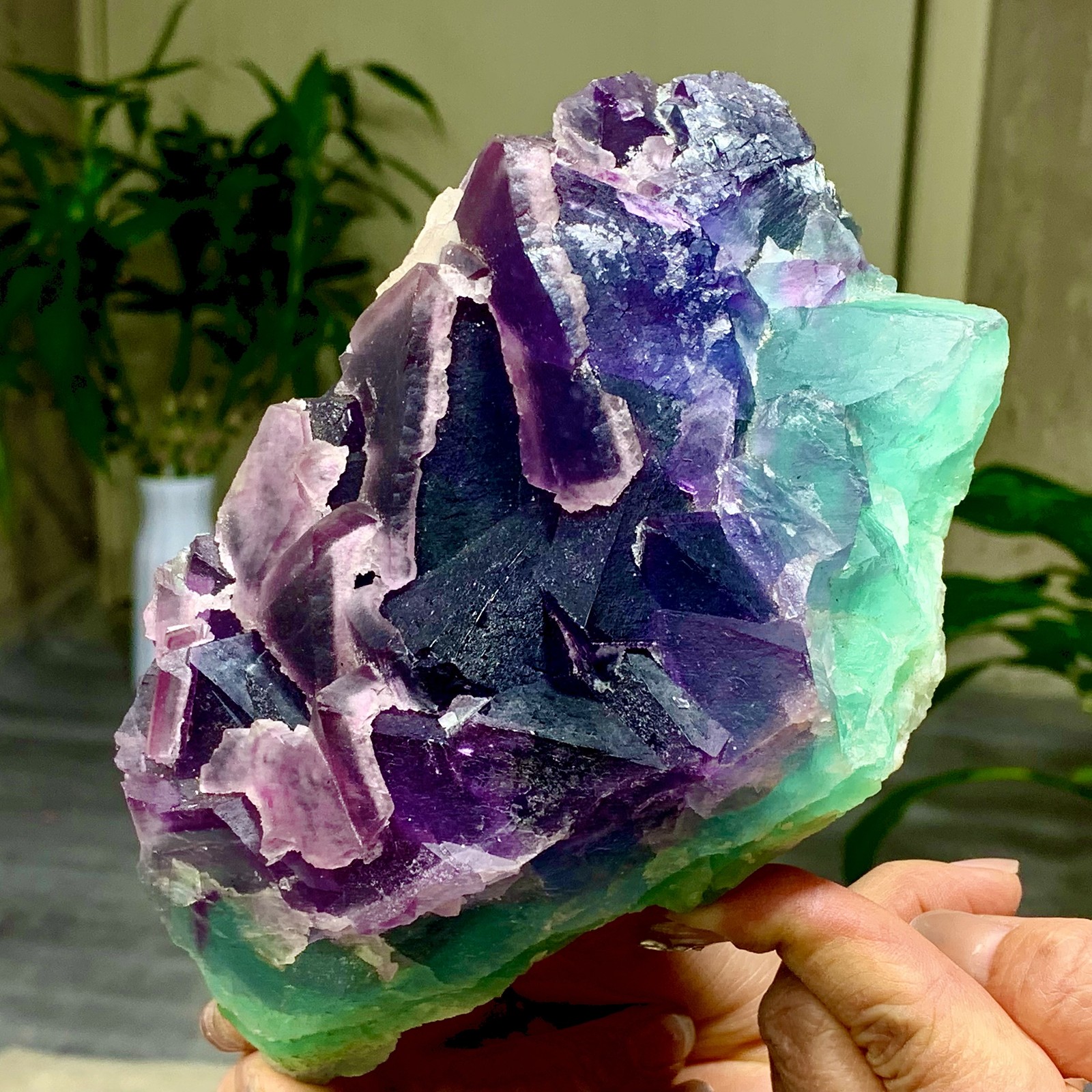 3.49LB Rare transparent purple-green cubic fluorite mineral crystal sample/China