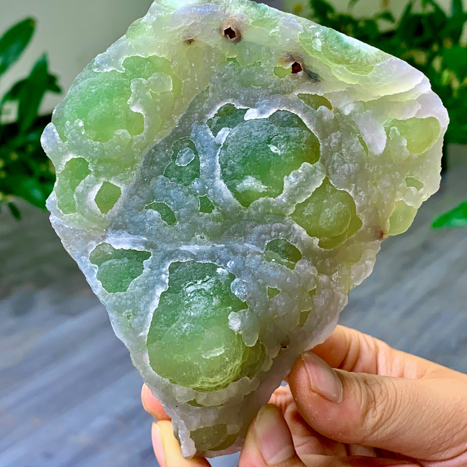 442G fluorite Green-white spherical surface mineral crystal sample/ZheJiang