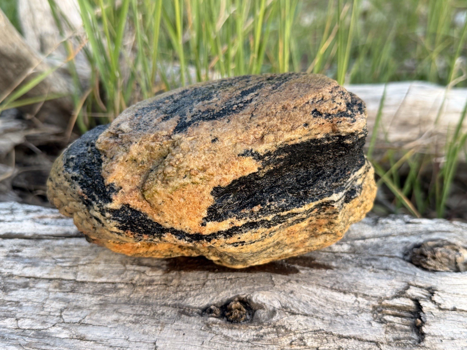 Natural Lake Michigan Rock Granite Large LOOK! 👀 3lb+ READ CAREFULLY