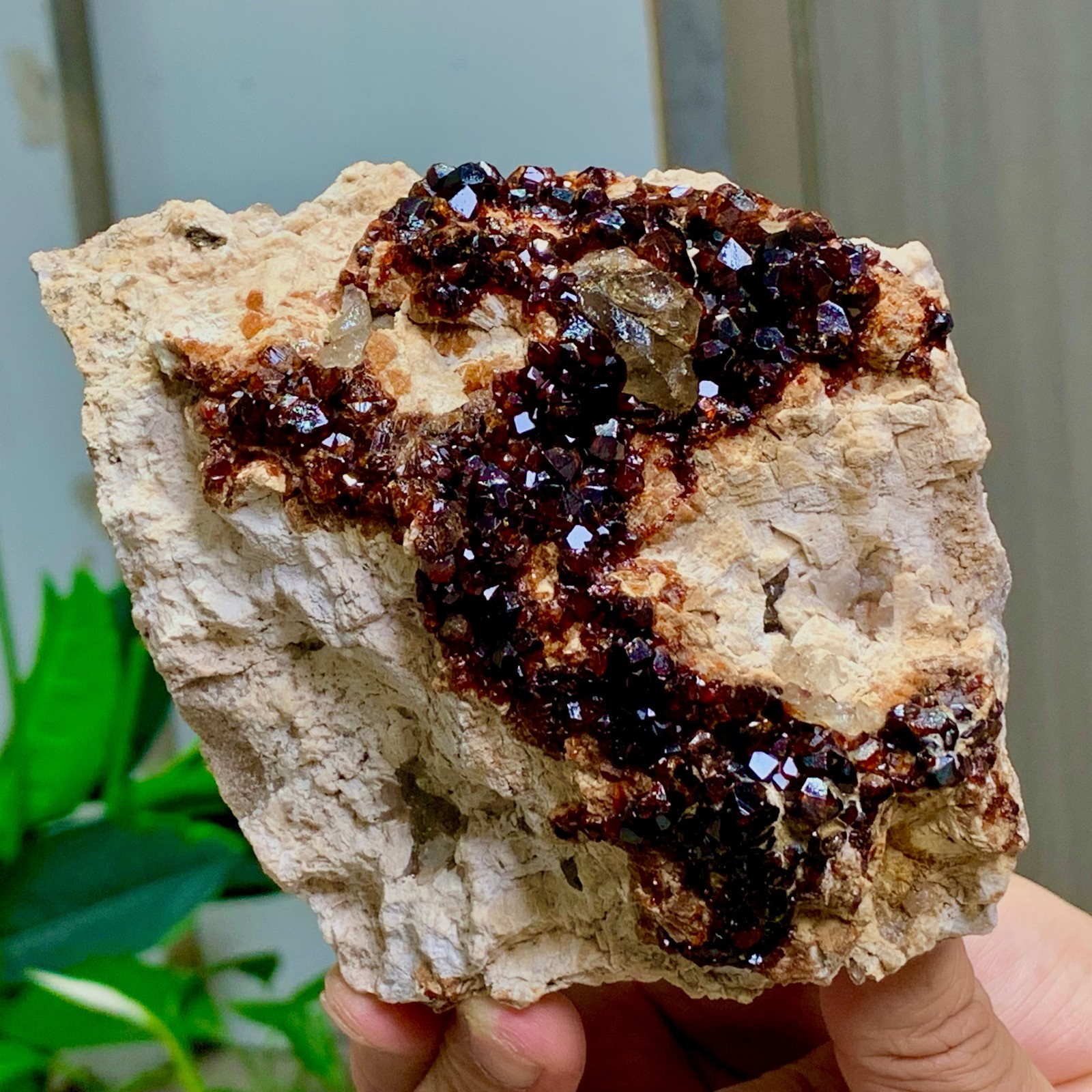1.92LB Natural Garnet with smokey quartz cluster Crystal Mineral Specimen
