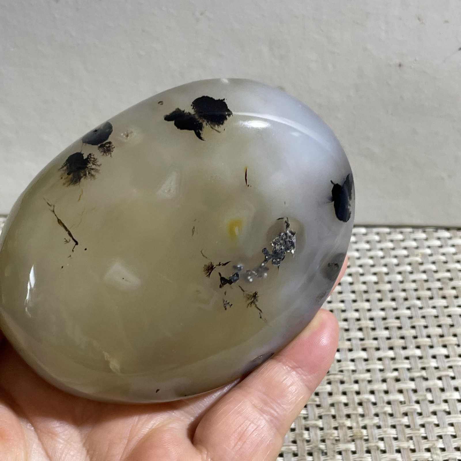 356g Natural Polished Aquatic Plants Agate Crystal Madagascar