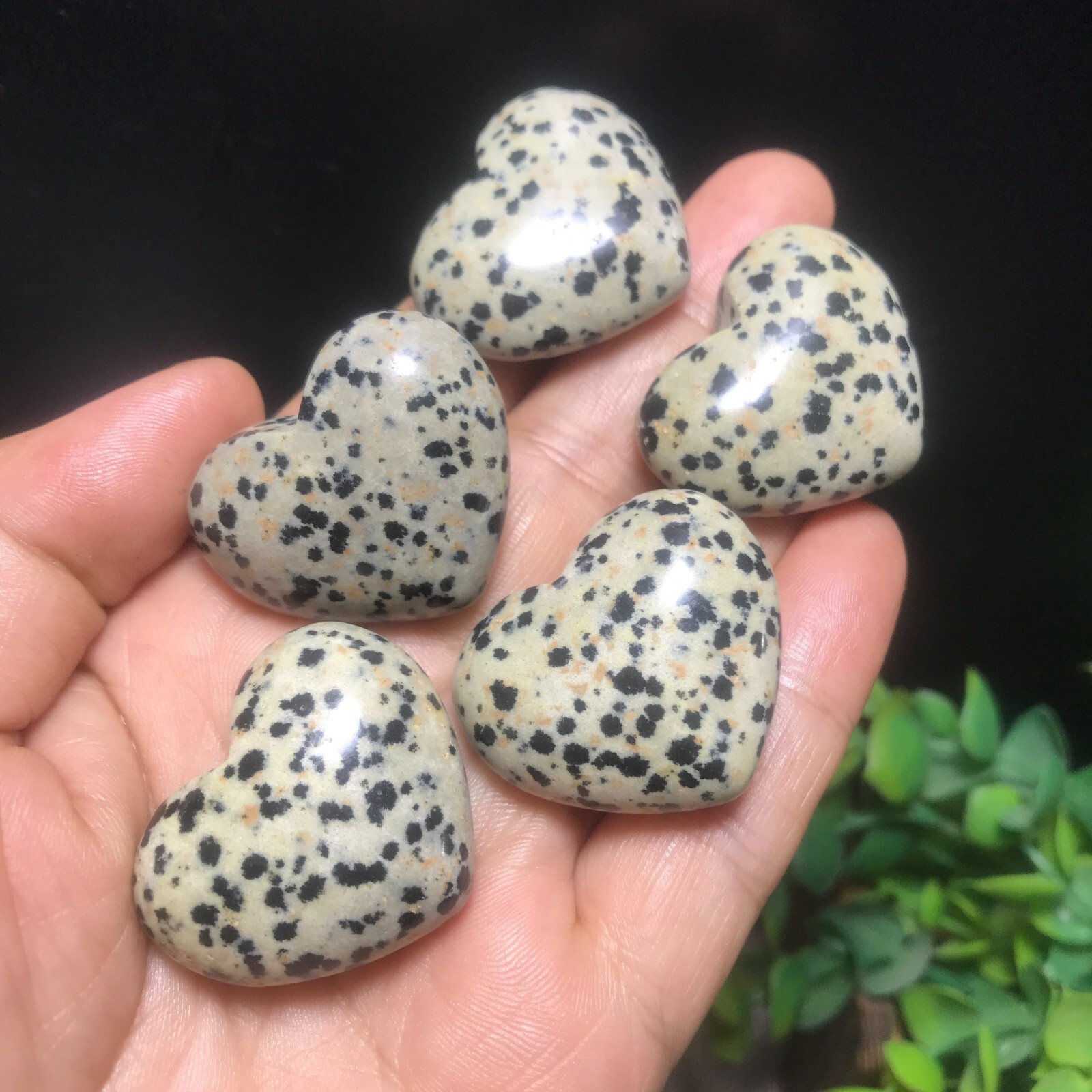 5PC 84g Natural Dalmatian Jasper Crystal Heart Crystal Home Office Decorative