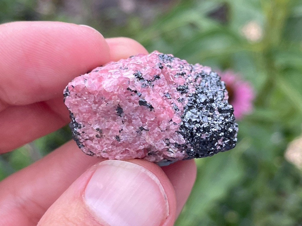 Rhodonite + Willemite in Franklinite – Franklin Mine, Sussex County, New Jersey