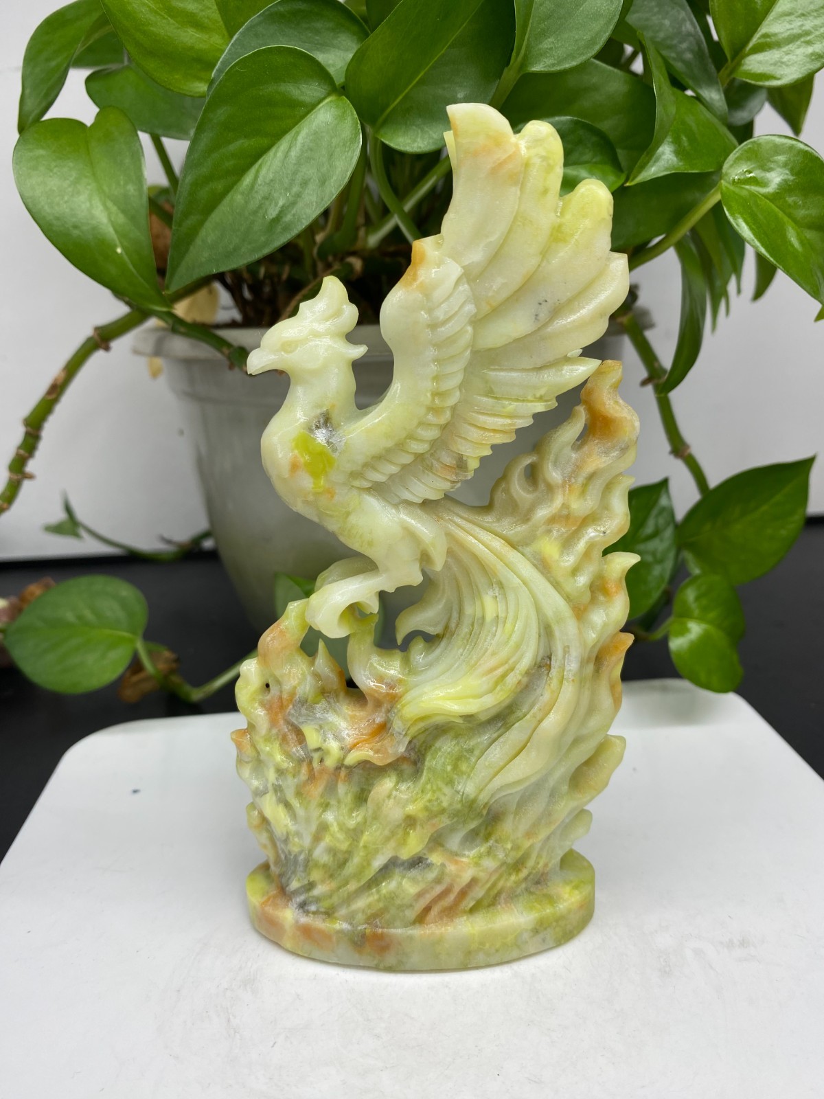 5.9” Natural Mixed Quartz Carved Crystal phoenix skull reiki Decor random 1pc