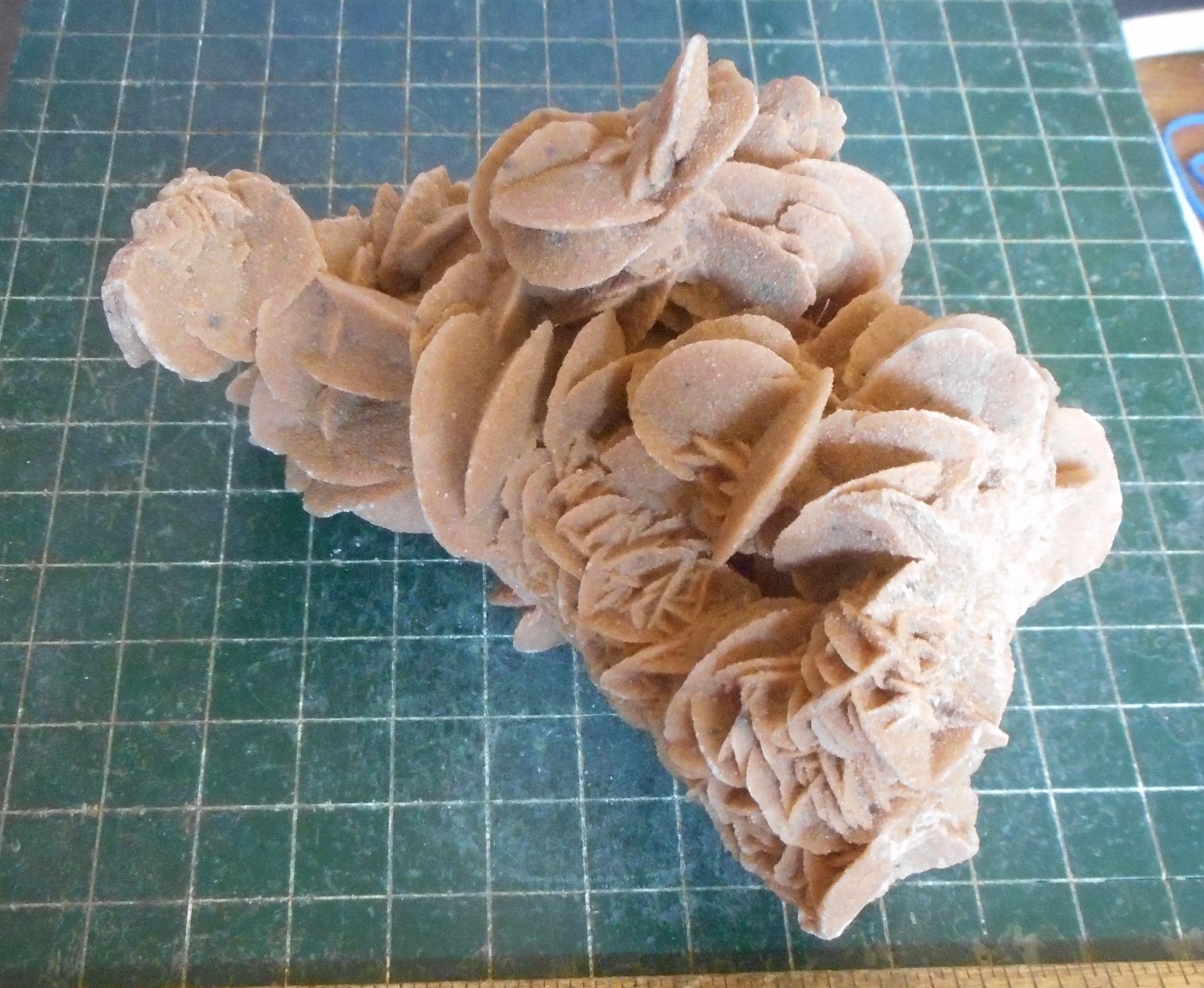 Desert Rose Selenite. Natural. Gypsum. Morocco 5.3″ (13.5 cm). 0.95 Lb