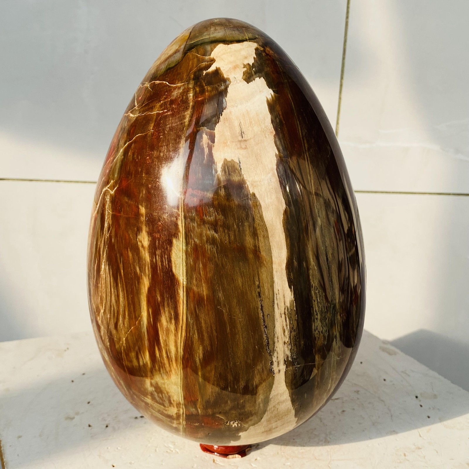 Natural Petrified Wood Egg Quartz Crystal Fossil Mineral 6340g