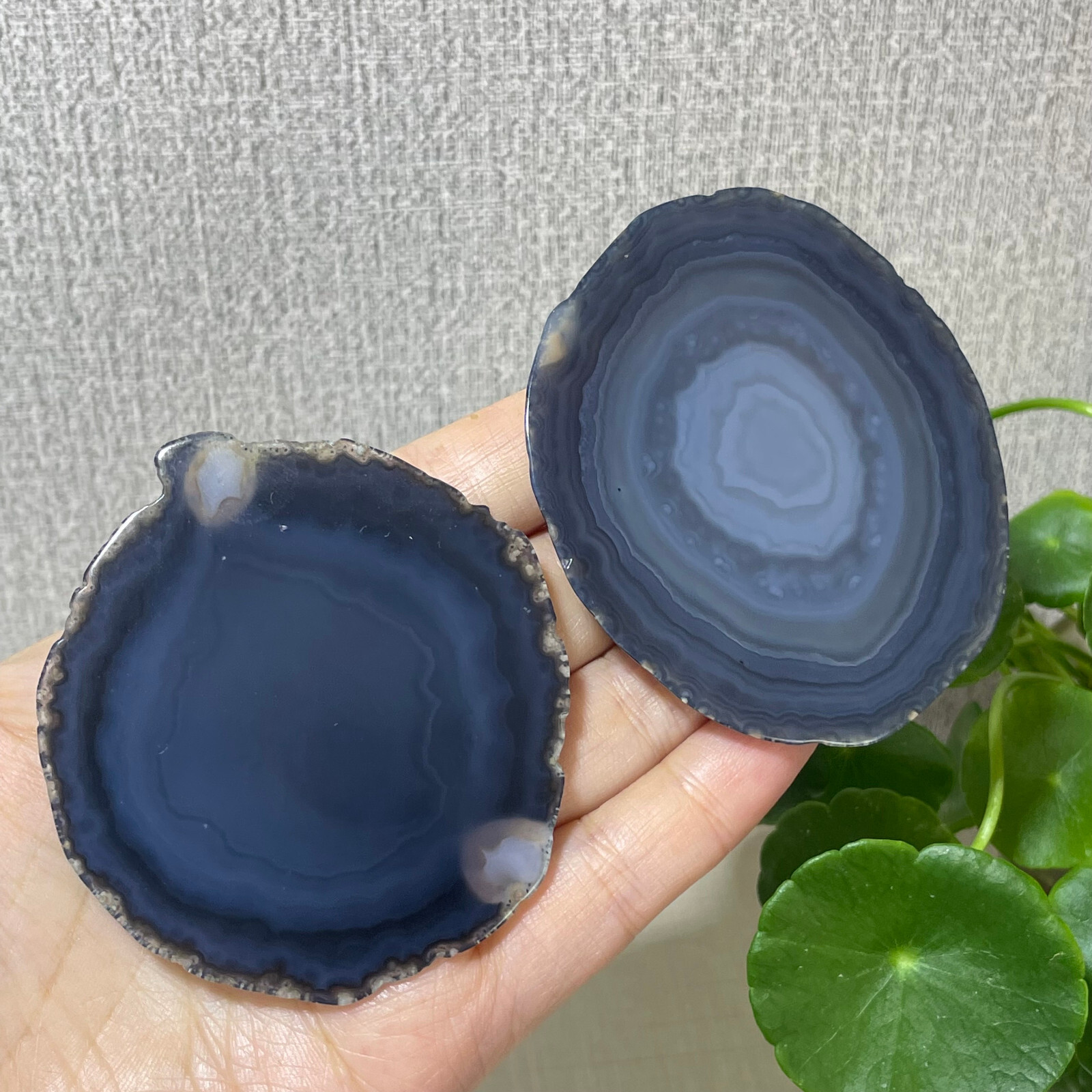 2pcs Brazilian Agate Geode Slab/Slice- Natural Druzy quartz crystals 87g a7712