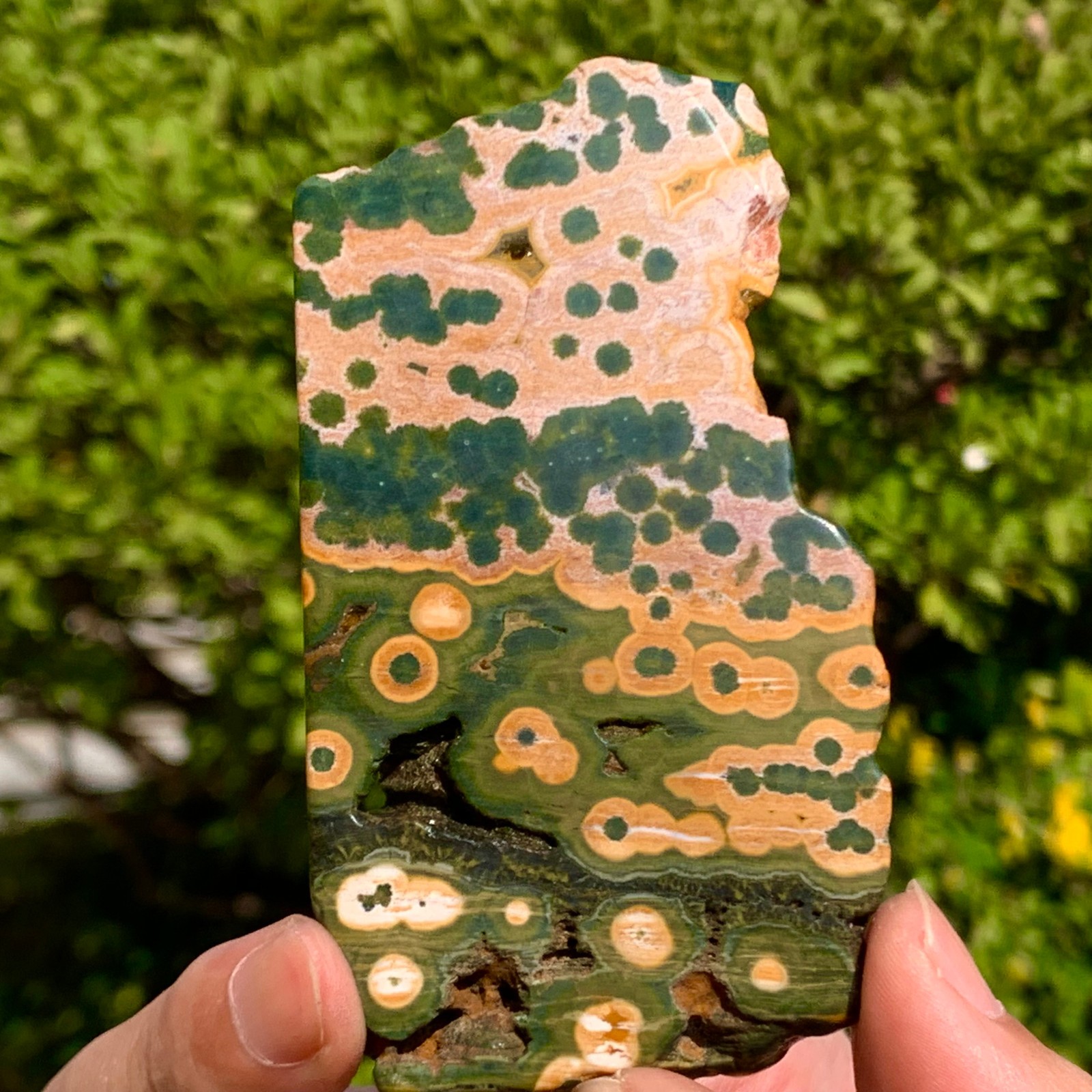 82G Natural Ocean Jasper Crystal SliceLarge Specimen Healing- Museum