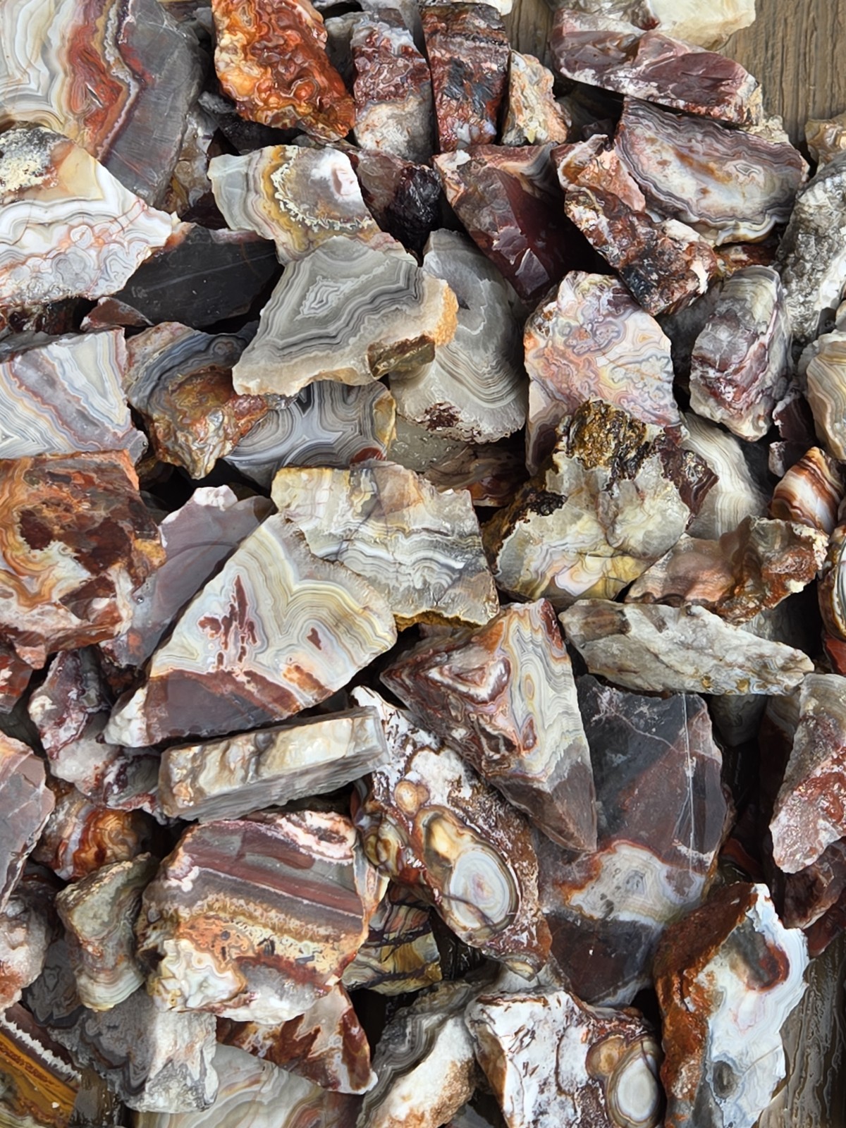 Crazy Lace Agate Rough Mexico – White Red Banding – Cut For Patterns 1 Pound