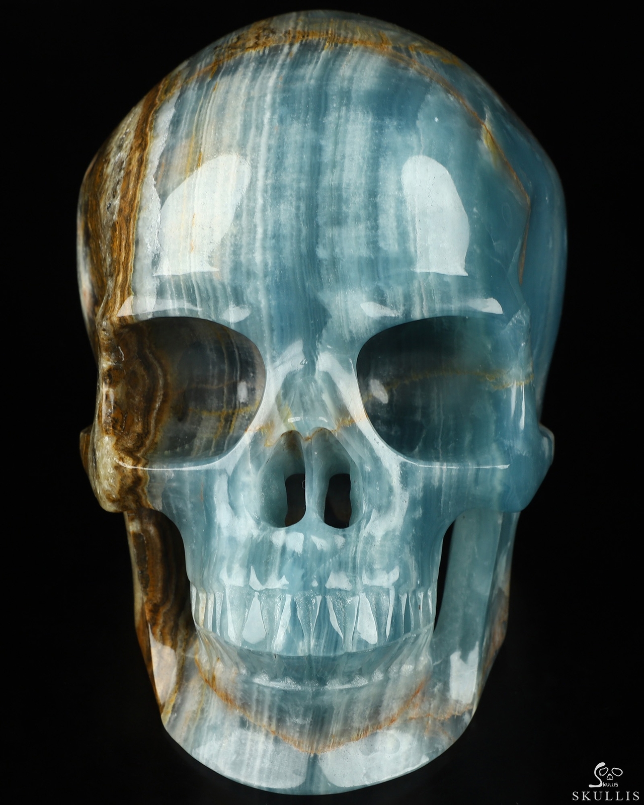 Super Realistic! Lifesized 7.0″ Blue Onyx Hand Carved Crystal Skull, Healing