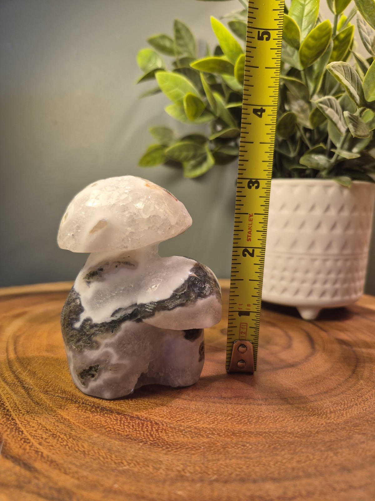 Green Moss Agate Mushroom Carving